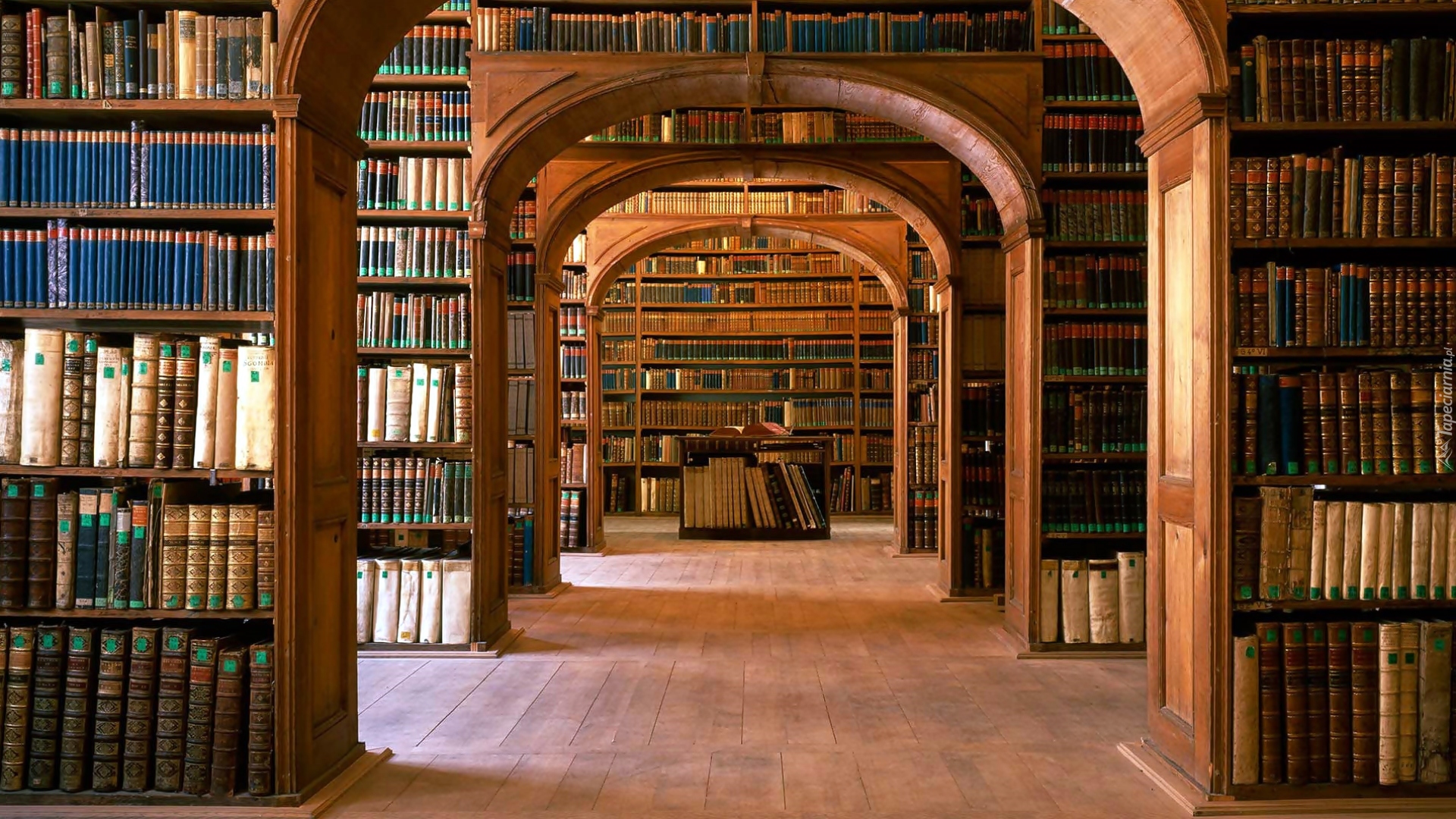 Biblioteka, Regały, Książki