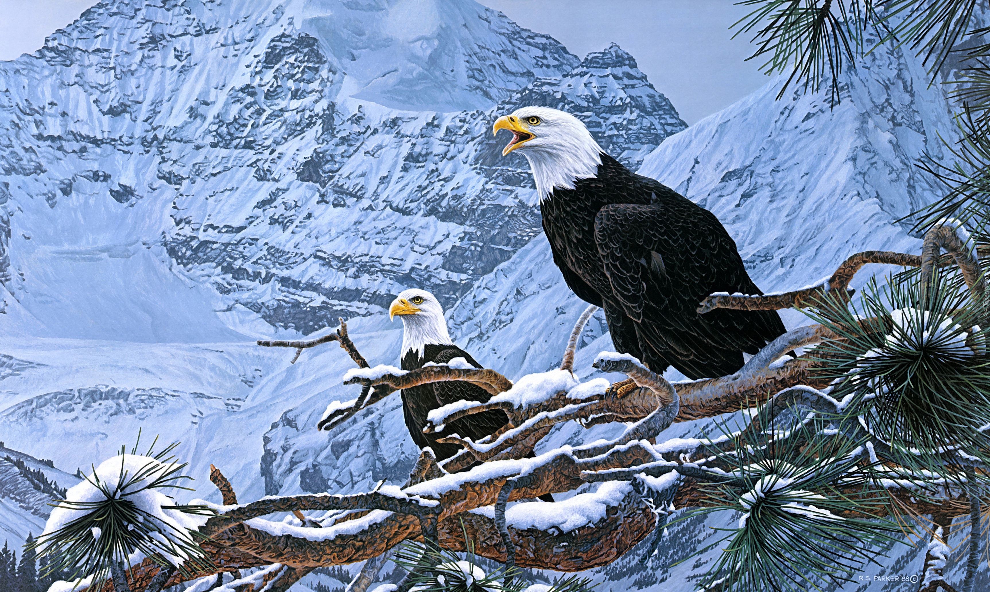 Malarstwo, Obraz, Ron Parker, Bieliki amerykańskie, Góry, Zima, Śnieg, Drzewo, Gałęzie