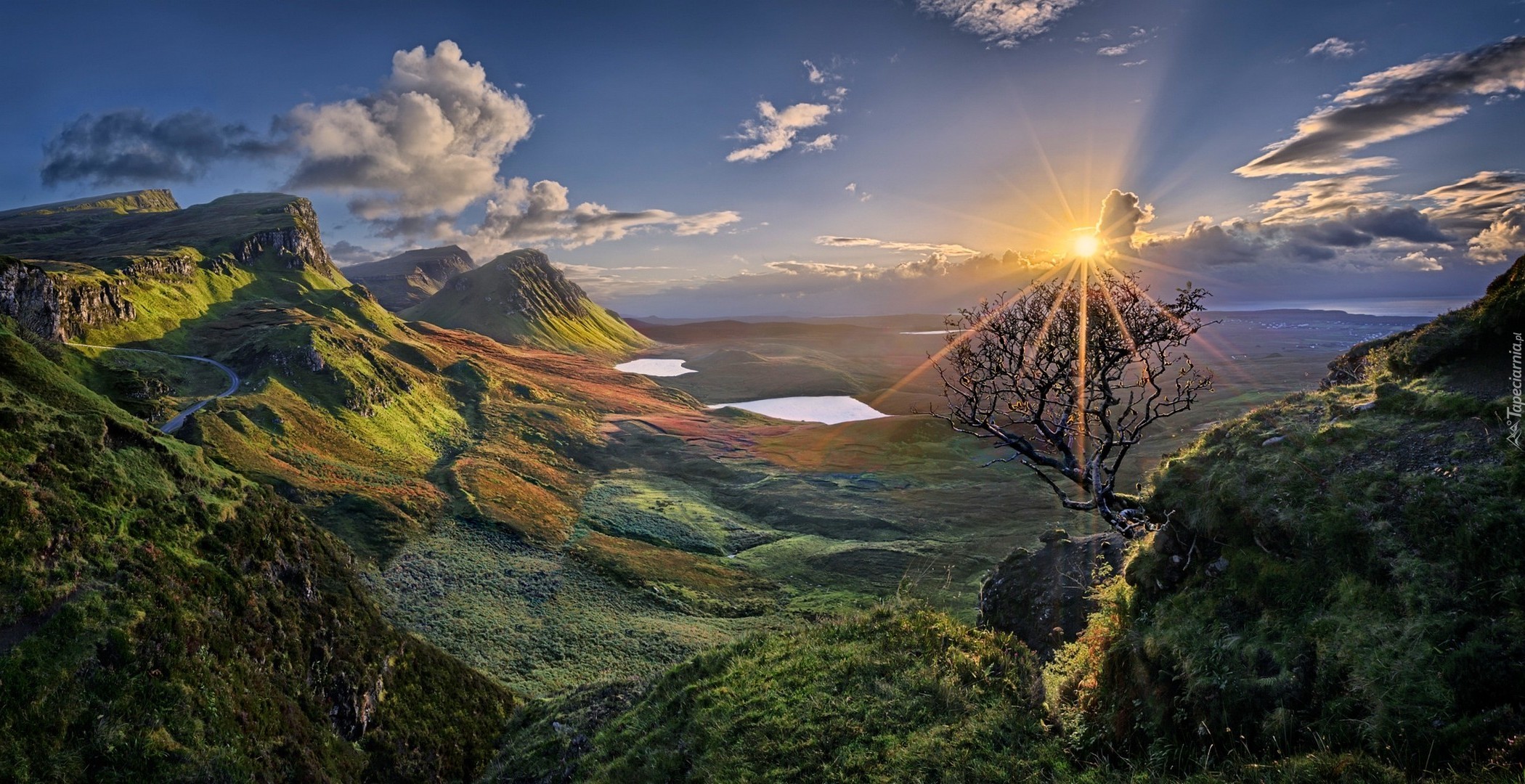 Szkocja, Dolina, Wzgórza, Quiraing, Zachód słońca, Drzewo
