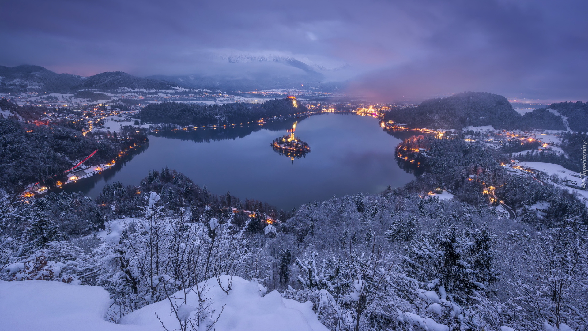 Zima, Jezioro Bled, Wyspa Blejski Otok, Drzewa, Region Górna Kraina, Słowenia