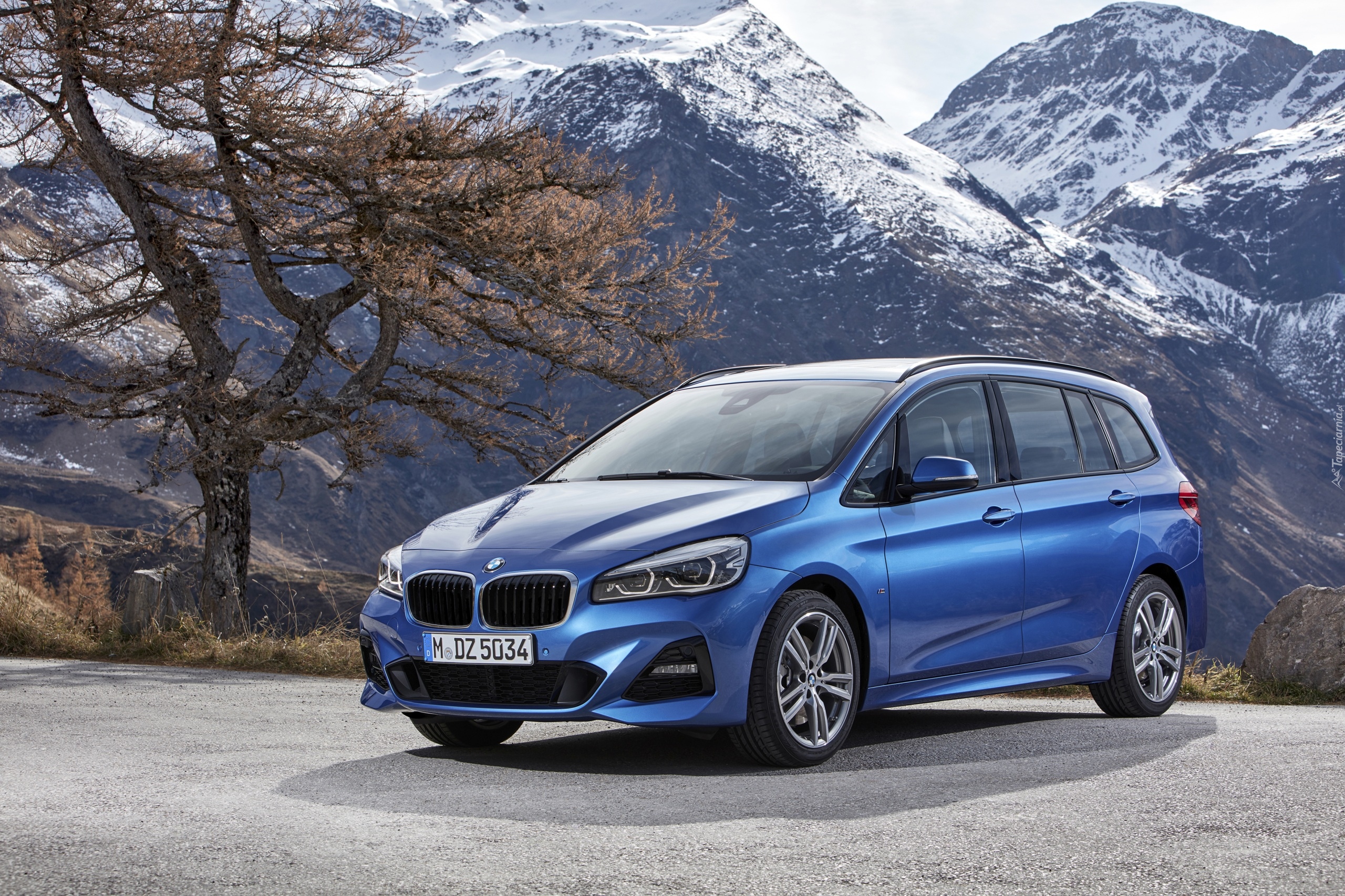 BMW M2 Gran Tourer, F46, 2018