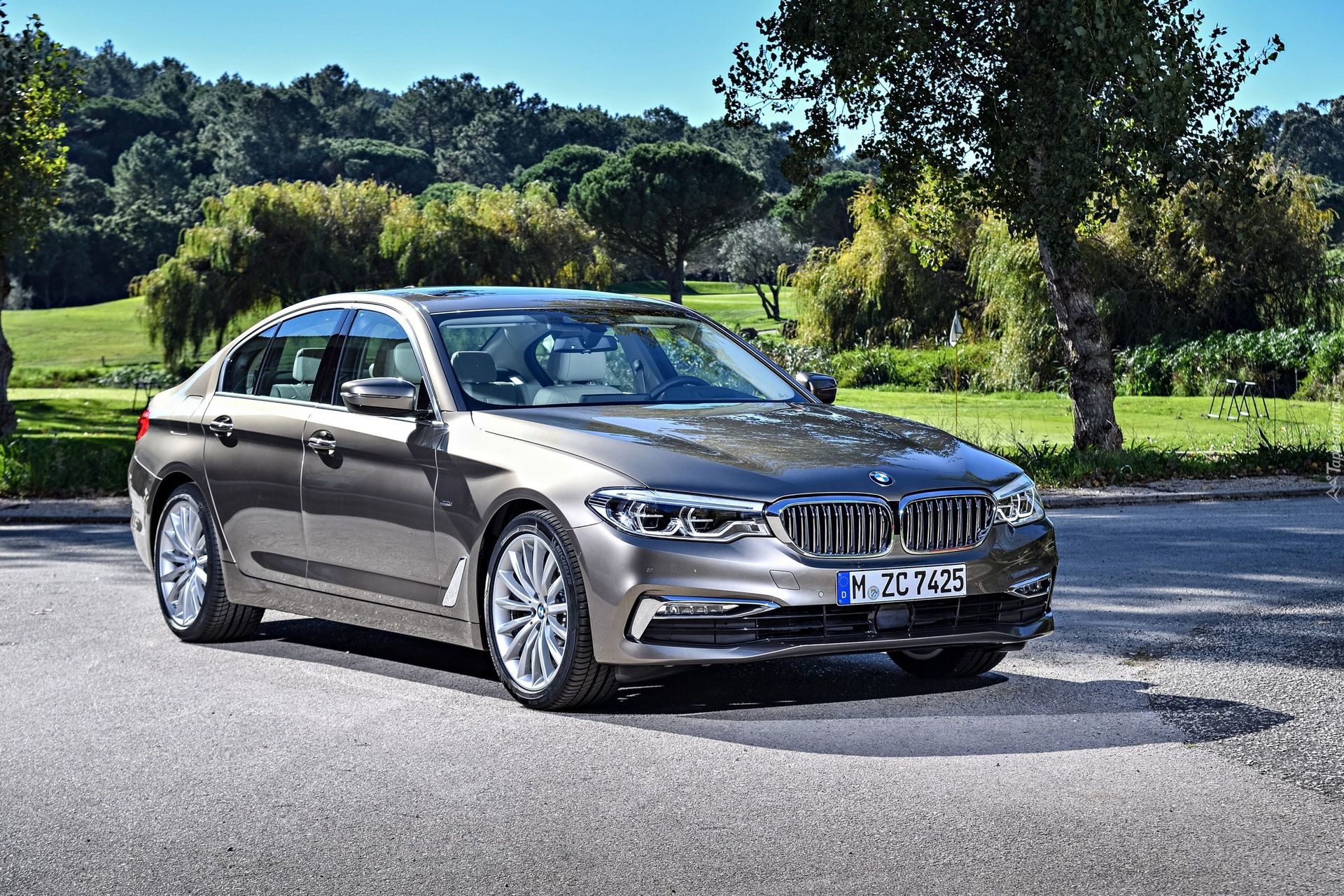 BMW 5-Series 520d Sedan Luxury Line, G30, 2017