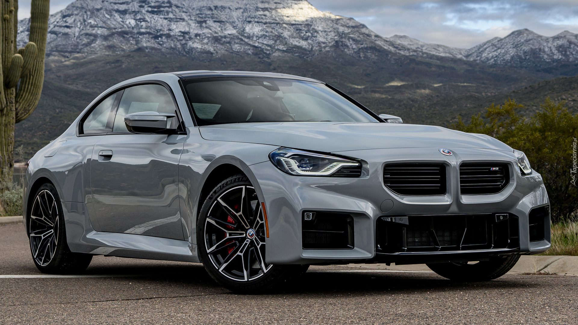 Szare, BMW M2 Coupe