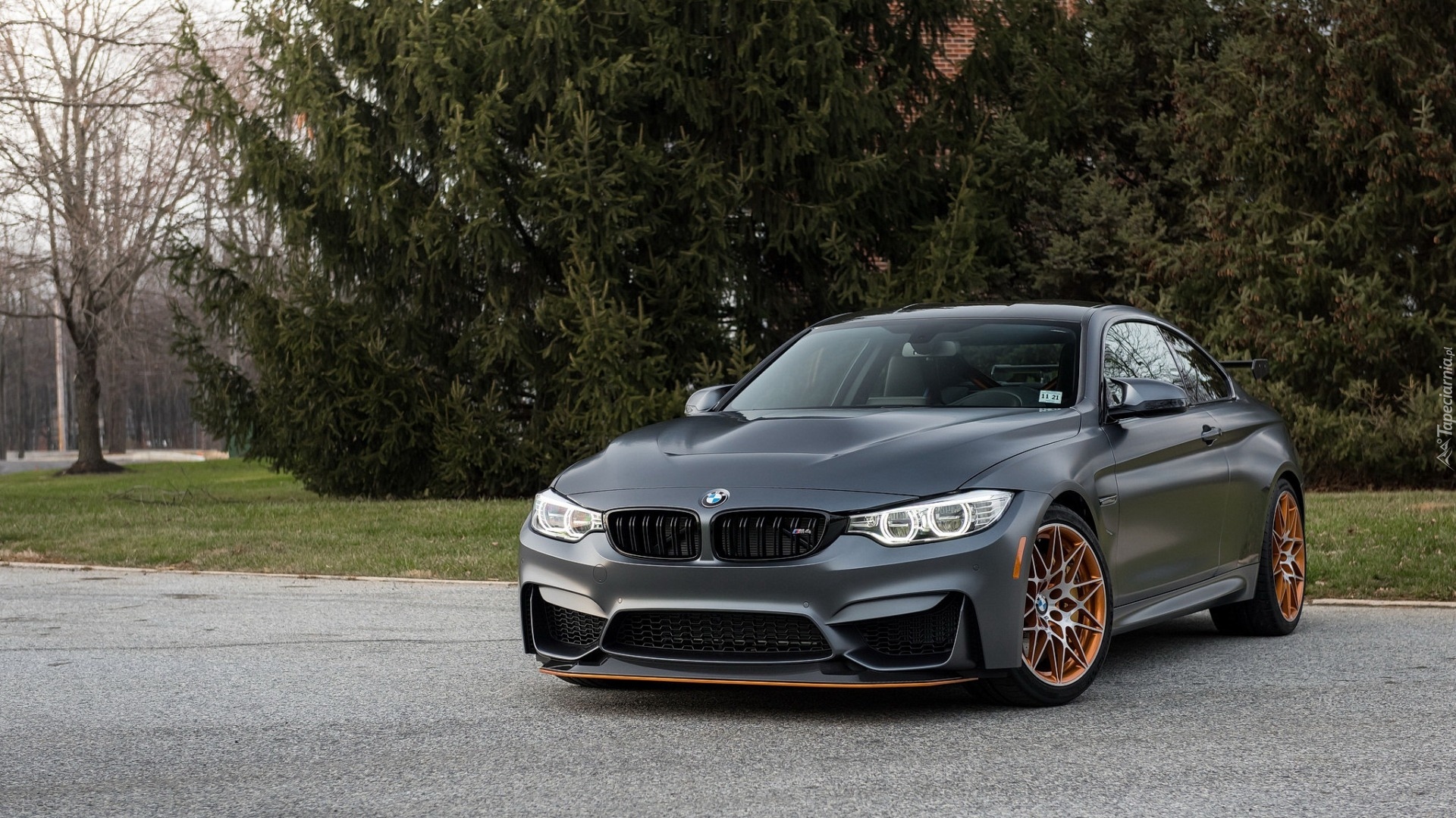 BMW M4 GTS, 2015