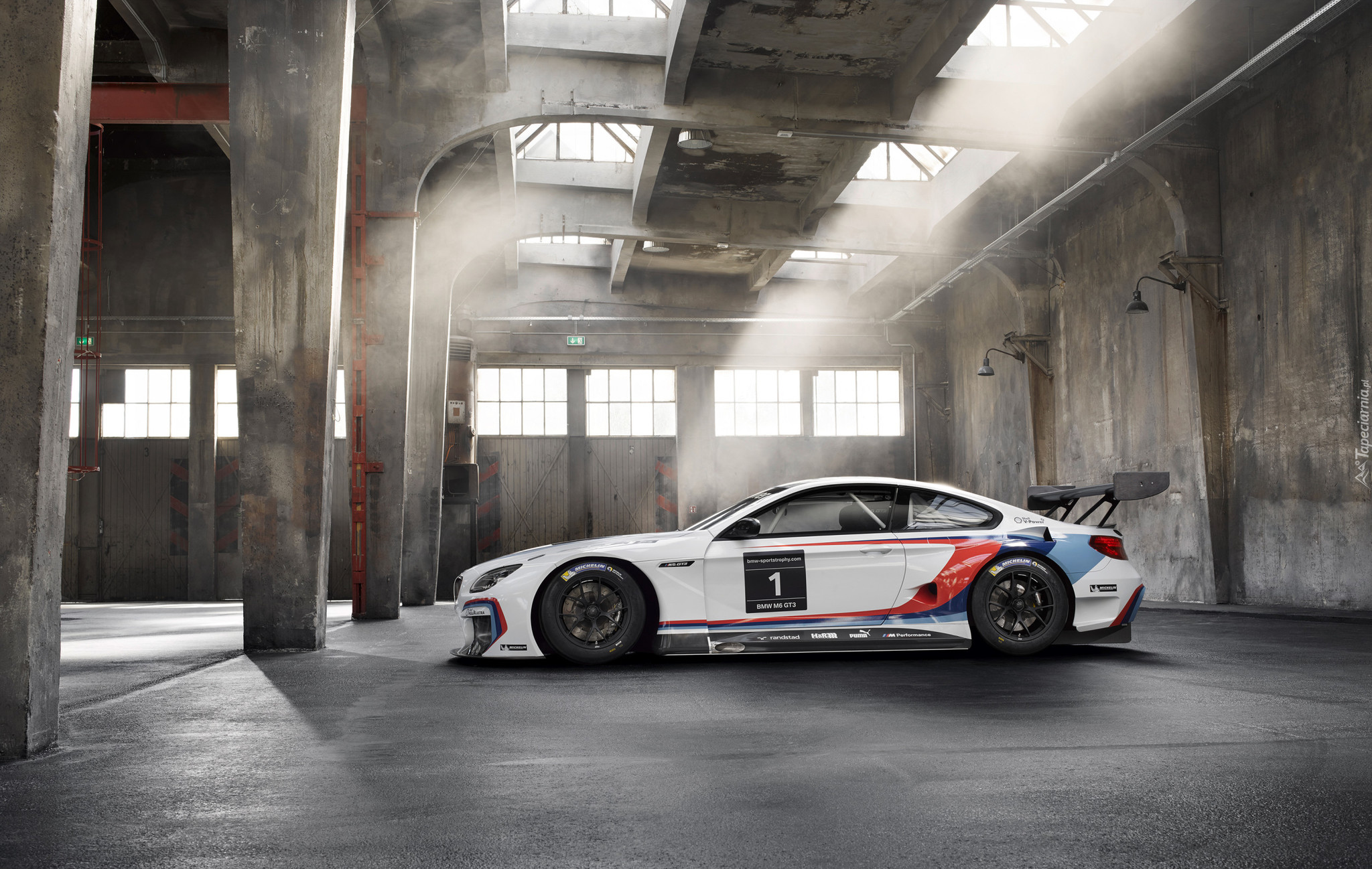 BMW M6 F13 GT3, Rajdowe