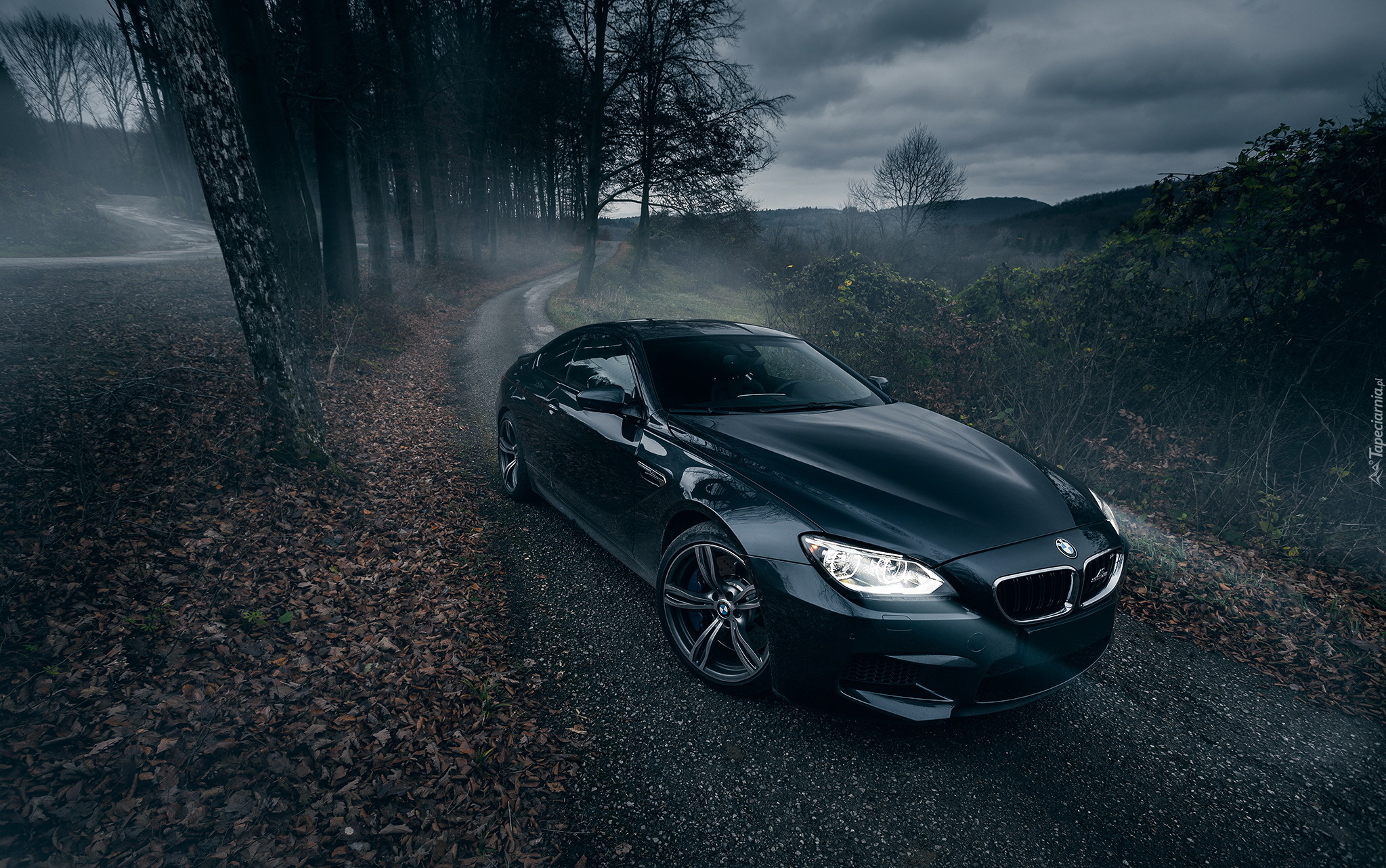 BMW M6 Gran Coupe AC Schnitzer, 2014, Droga, Drzewa