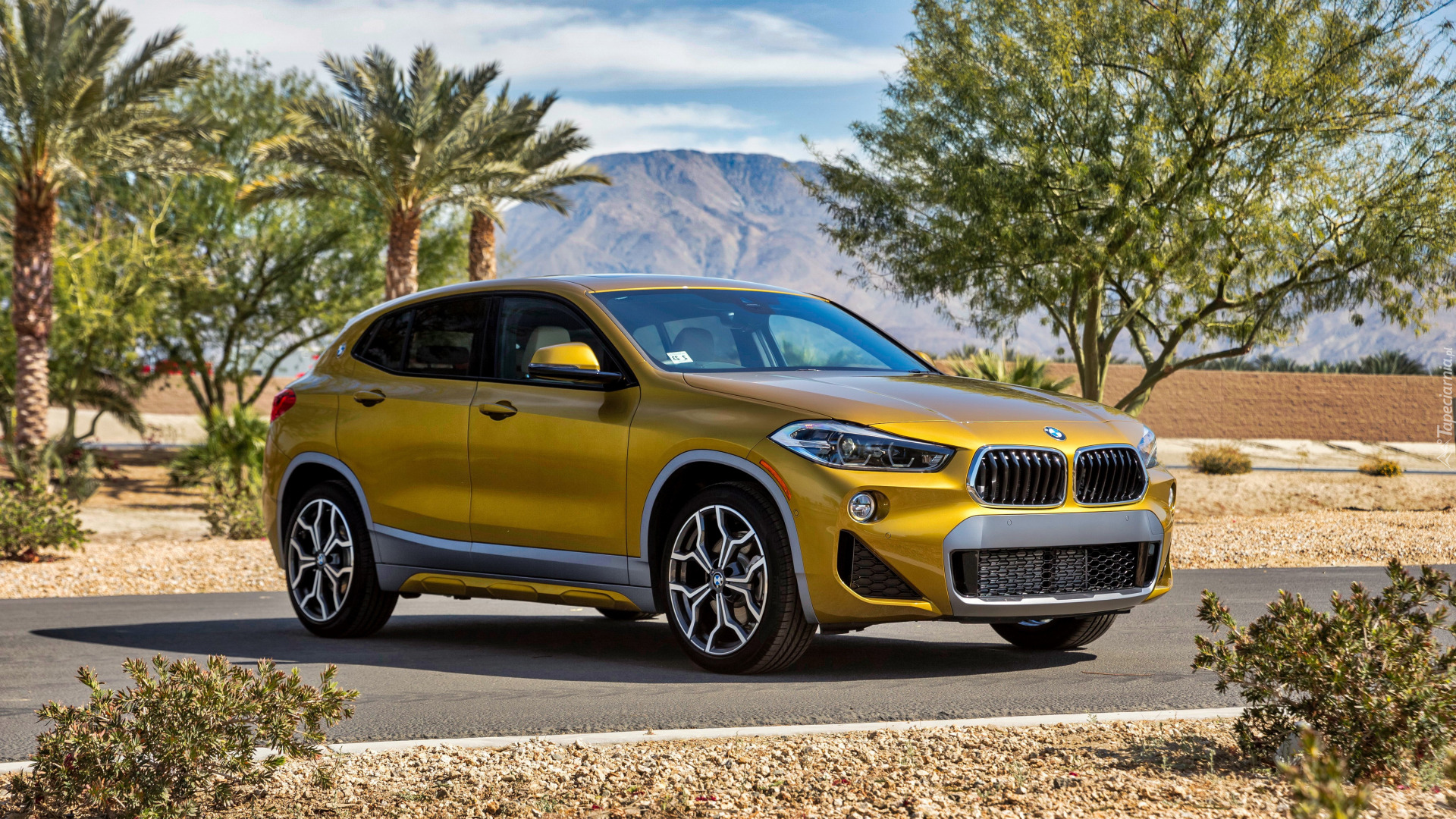 BMW X2 M Crossover BMW X2