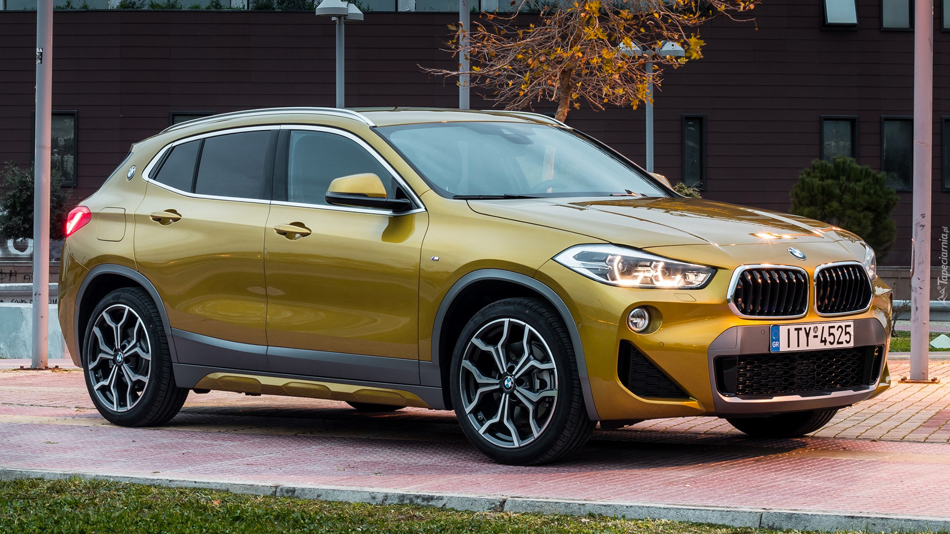 BMW X2 M Sport, Bok