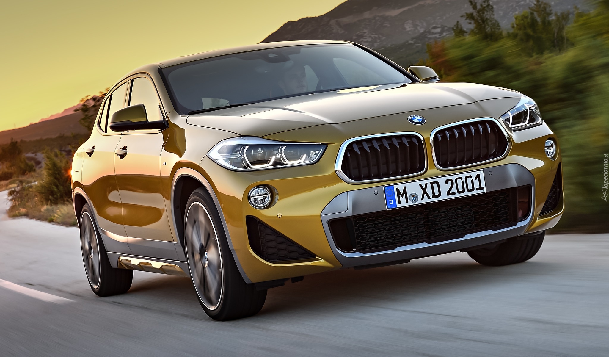 BMW X2 na drodze