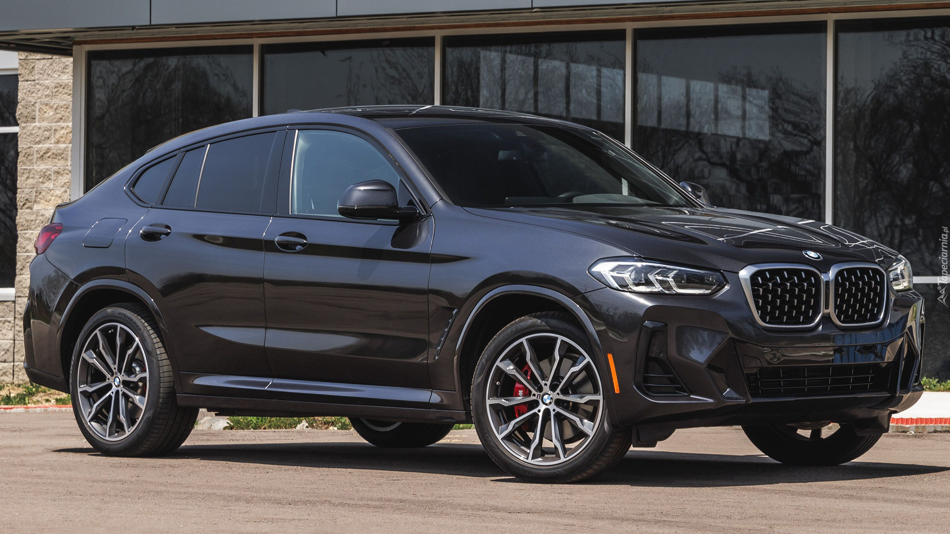 BMW X4 M Sport, Bok