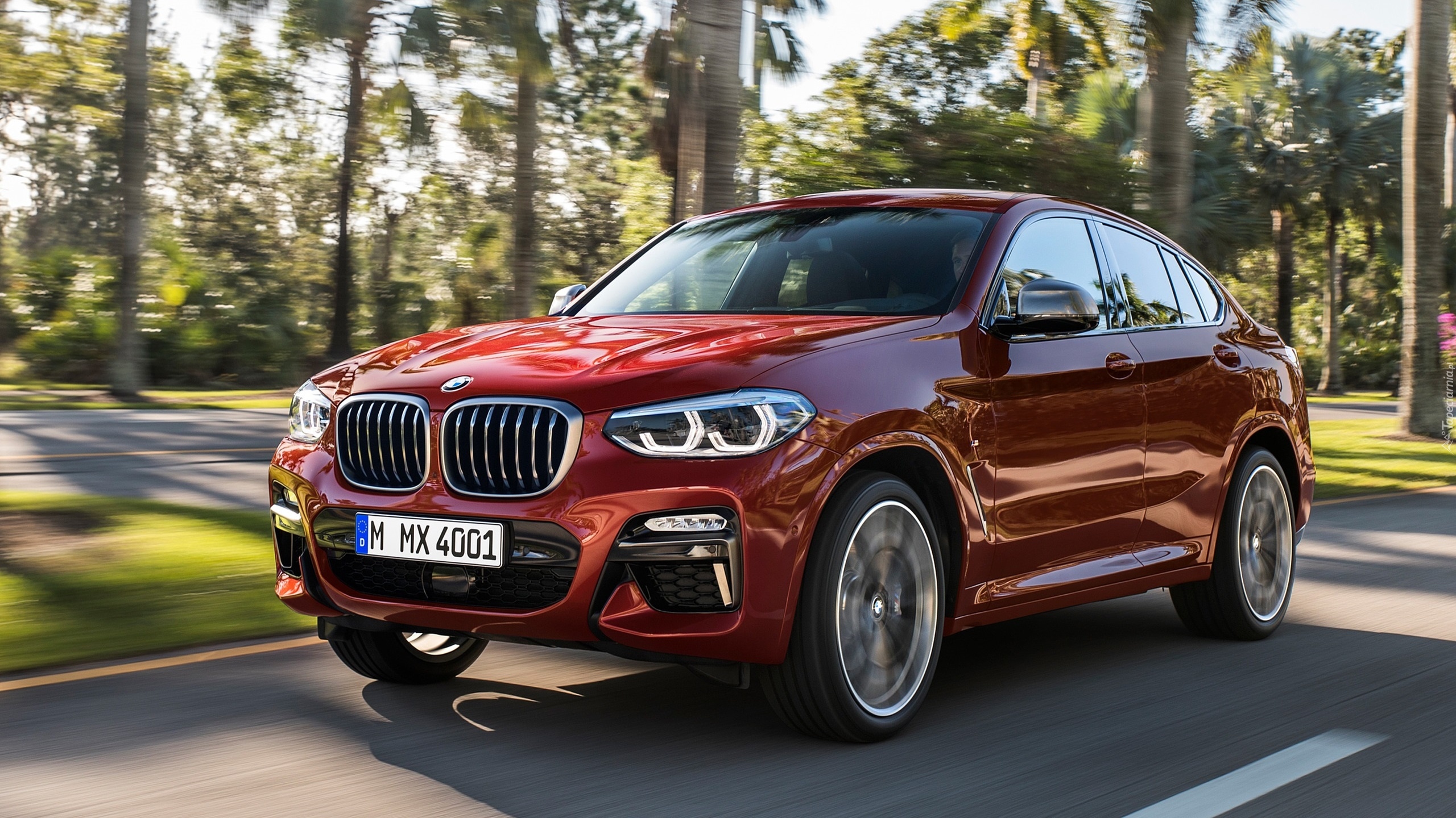 Czerwone, BMW X4 M40d, 2018