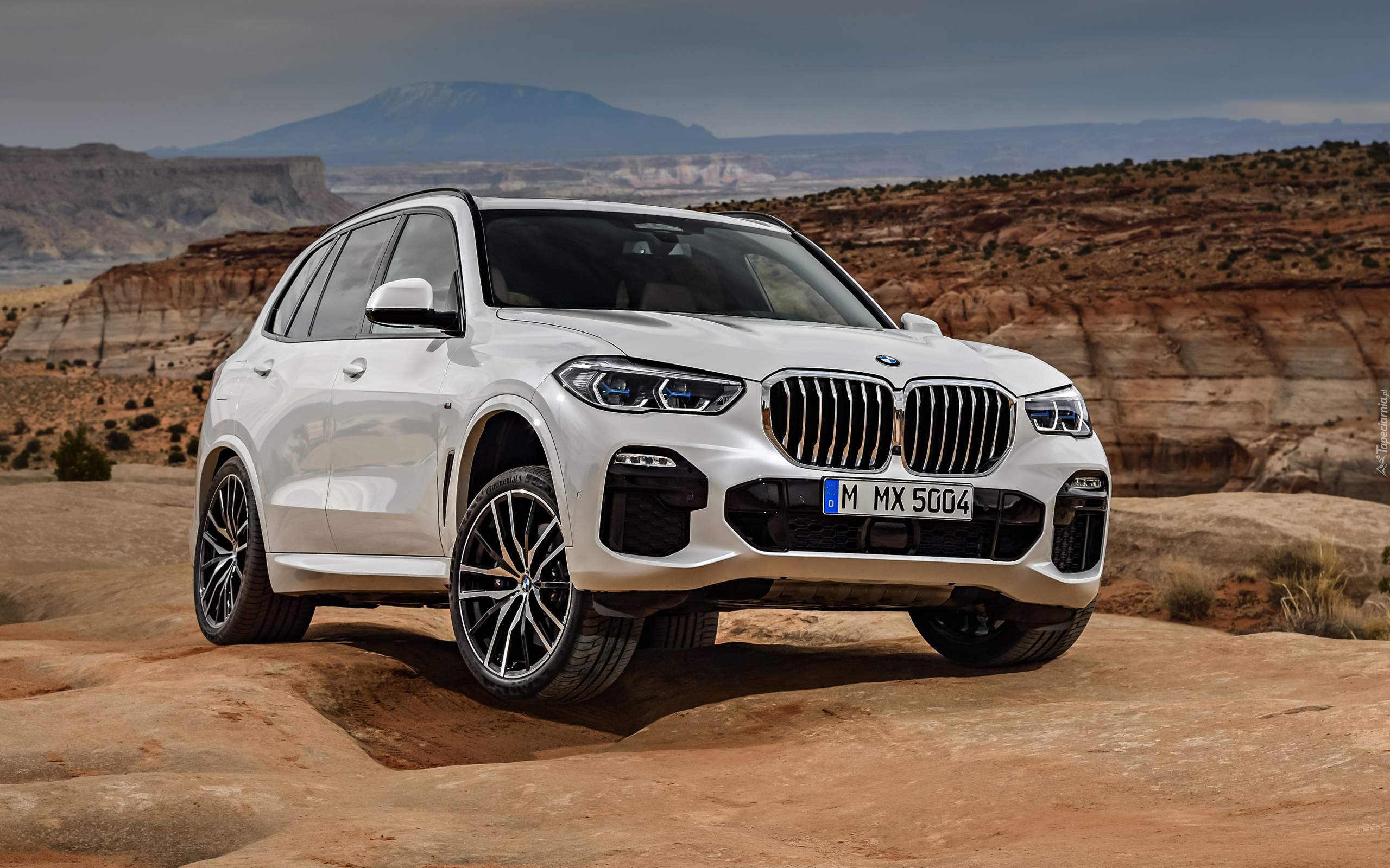 Samochód, BMW X5 xDrive 40i Sport, IV generacja