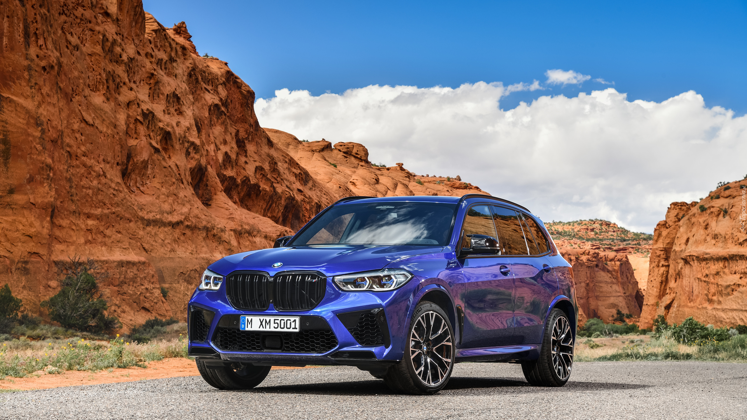 Niebieskie, BMW X5 M, F95