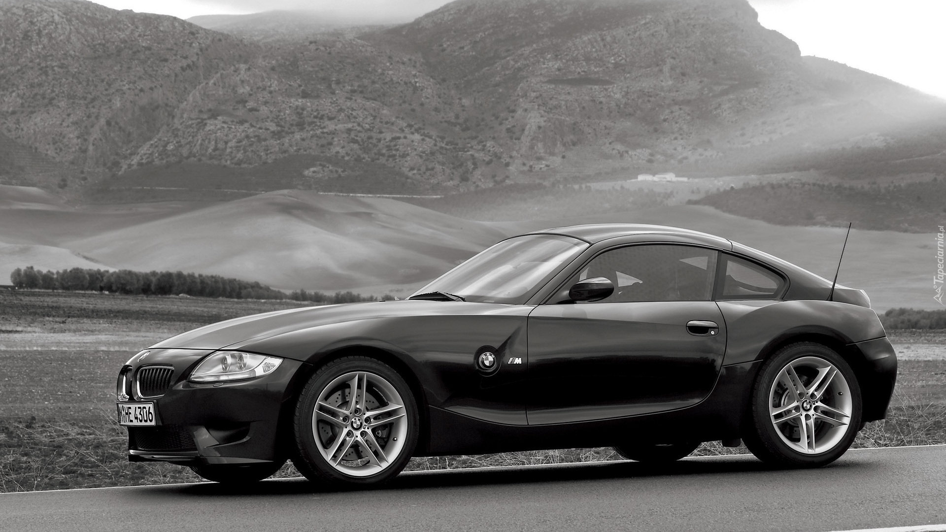 BMW Z4 M Coupe, 2005-2008, Czarno-białe