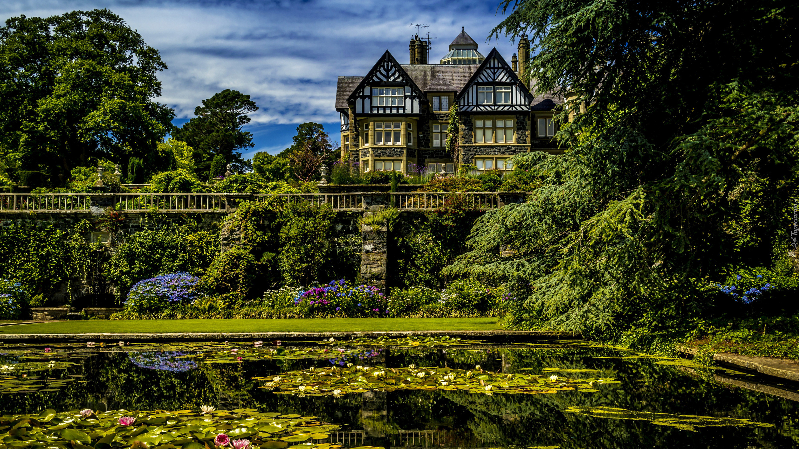 Walia, Ogród Botaniczny Bodnant Garden, Dom, Bodnant House, Staw, Roślinność, Lilie wodne