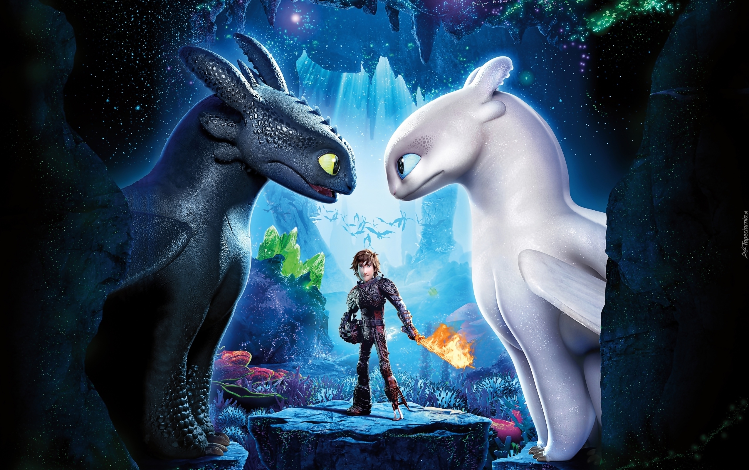 Film animowany, Jak wytresować smoka 3, How to Train Your Dragon, Postacie