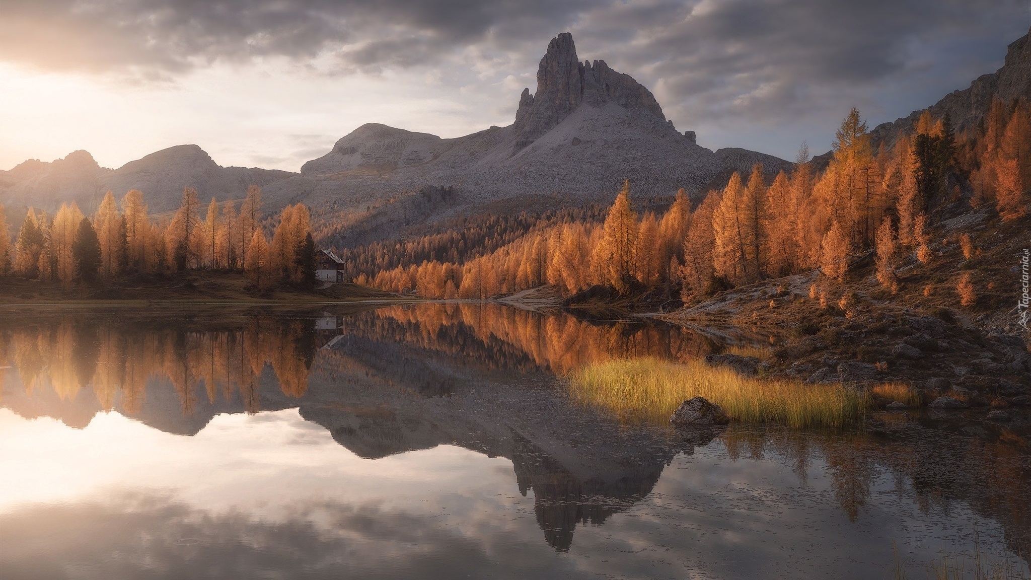 Włochy, Prowincja Belluno, Góry, Dolomity, Jezioro, Lago Federa, Jesień, Drzewa, Modrzewie, Odbicie