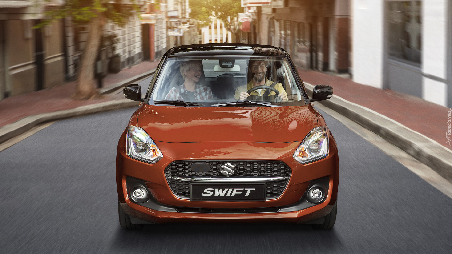 Suzuki Swift, Brązowe