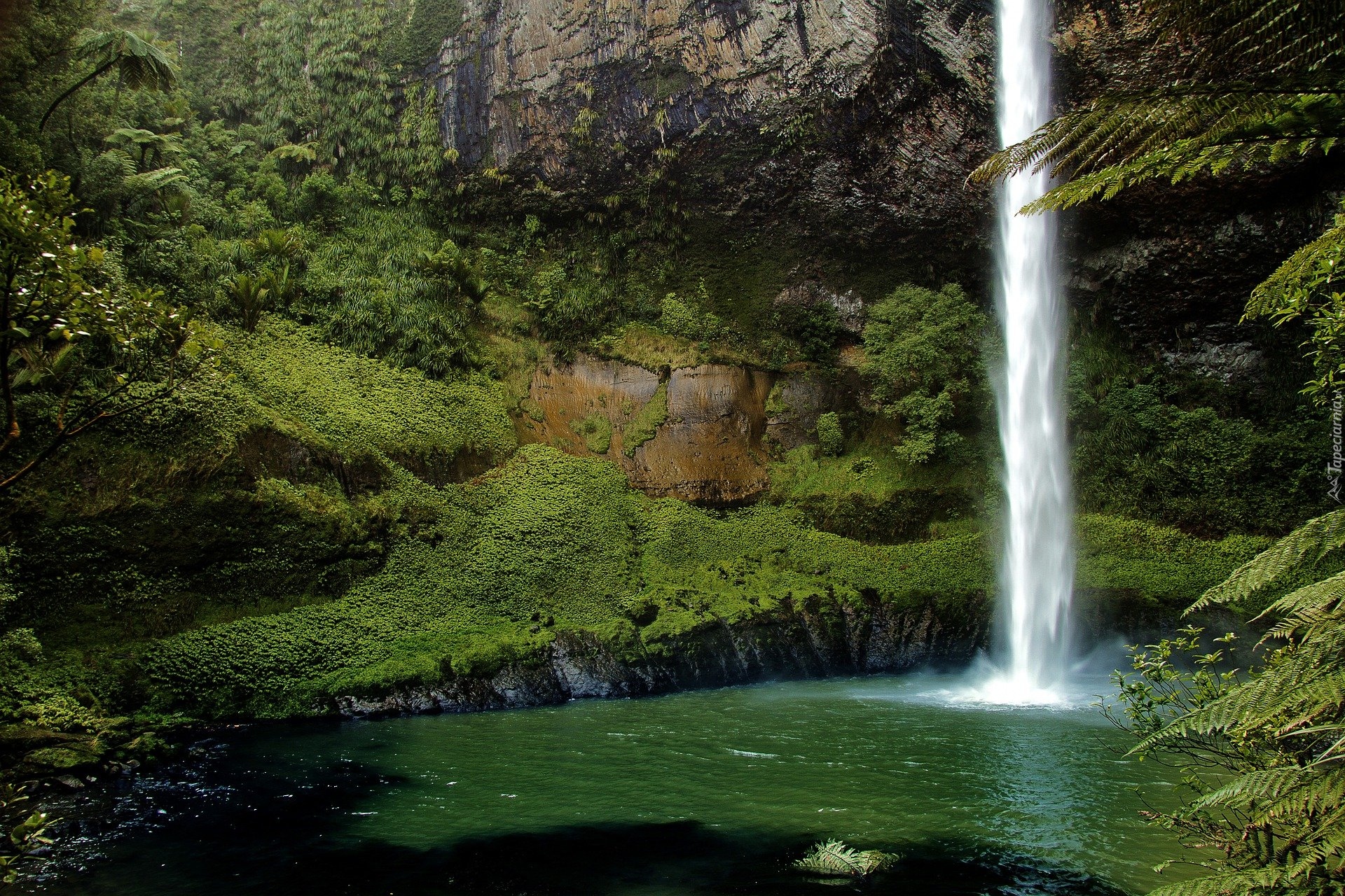 Wodospad, Bridal Veil Falls, Skały, Rośliny, Nowa Zelandia