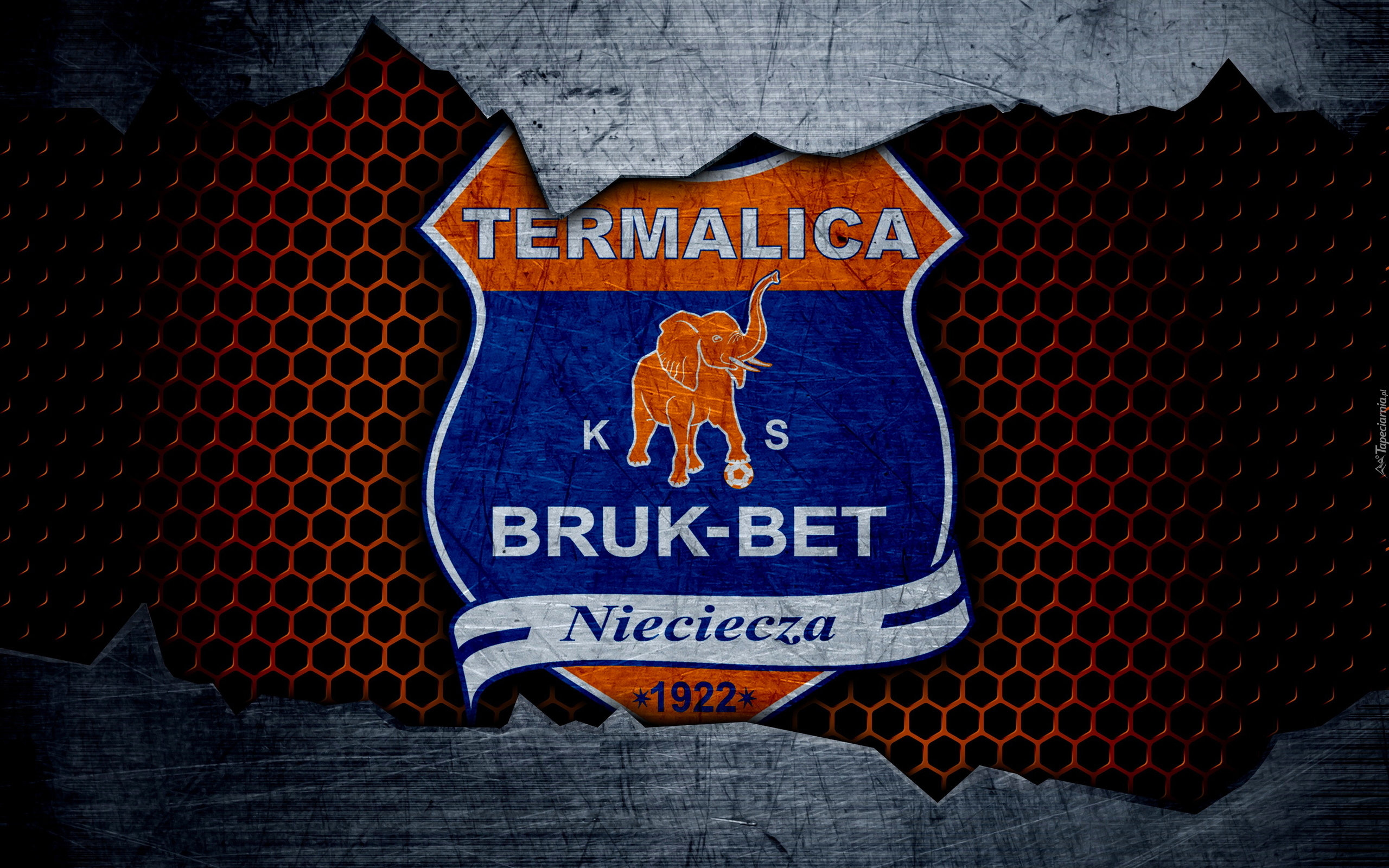 Logo, Bruk-Bet Termalica Nieciecza, Piłka nożna
