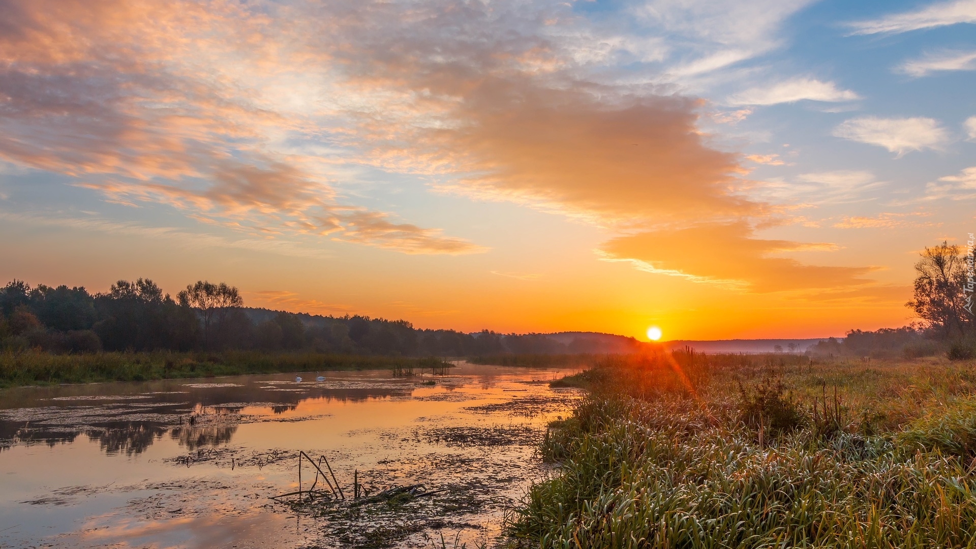 Wschód słońca, Rzeka, Drzewa, Trawy