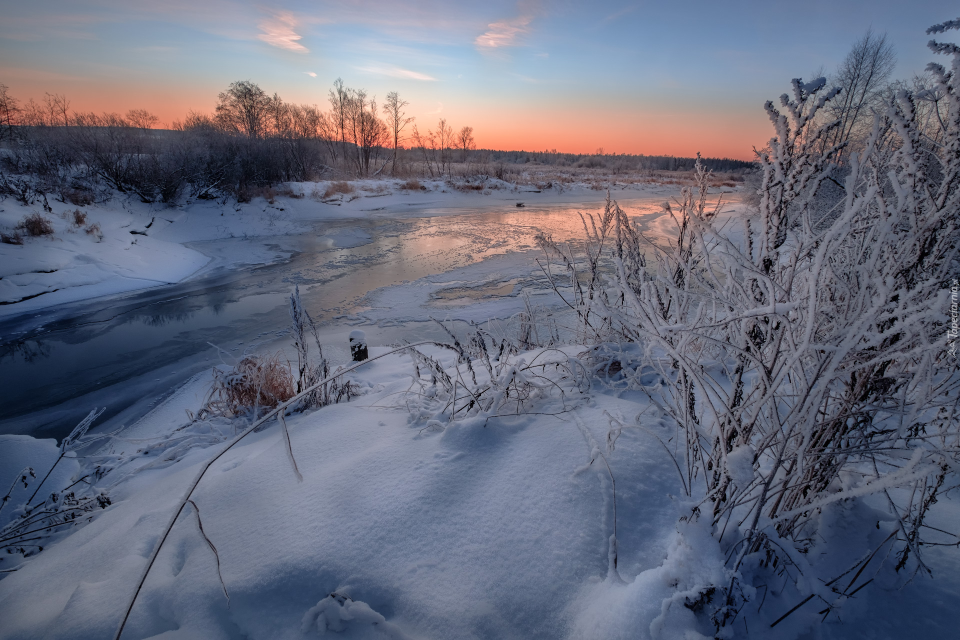 Rzeka Usolka, Rośliny, Drzewa, Zima, Wschód słońca, Kraj Permski, Rosja