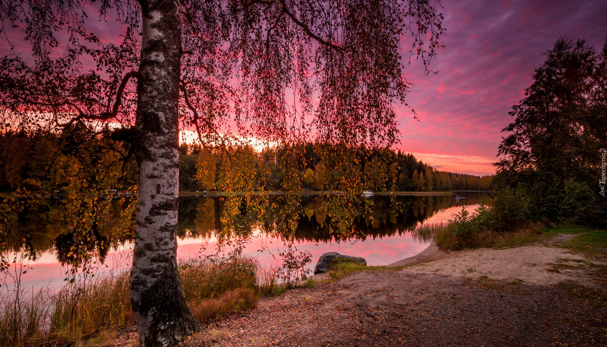 Finlandia, Prowincja Finlandia Zachodnia, Region Pirkanmaa, Jezioro Näsijärvi, Jesień, Drzewa, Brzoza, Chmury