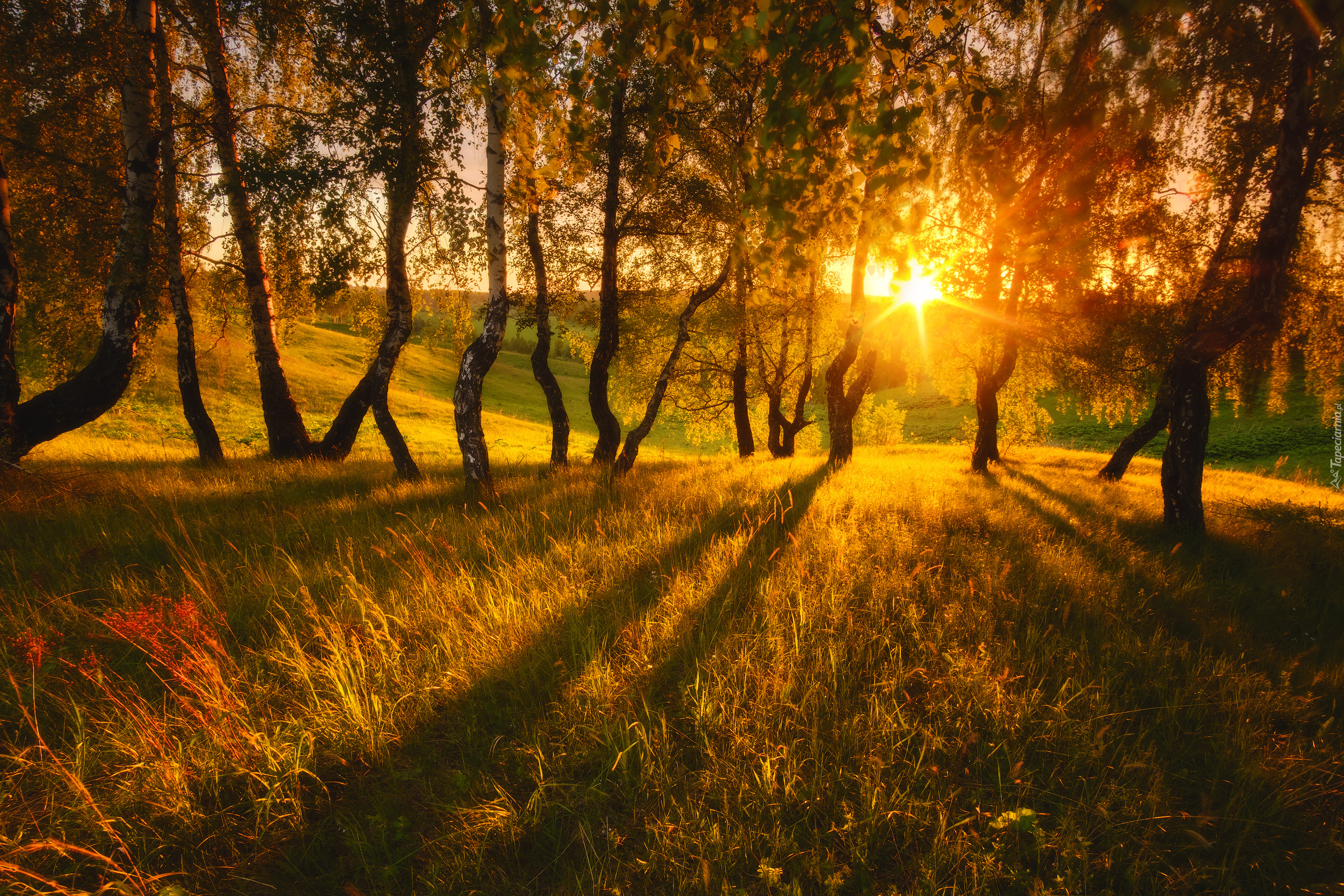 Фото солнце россия