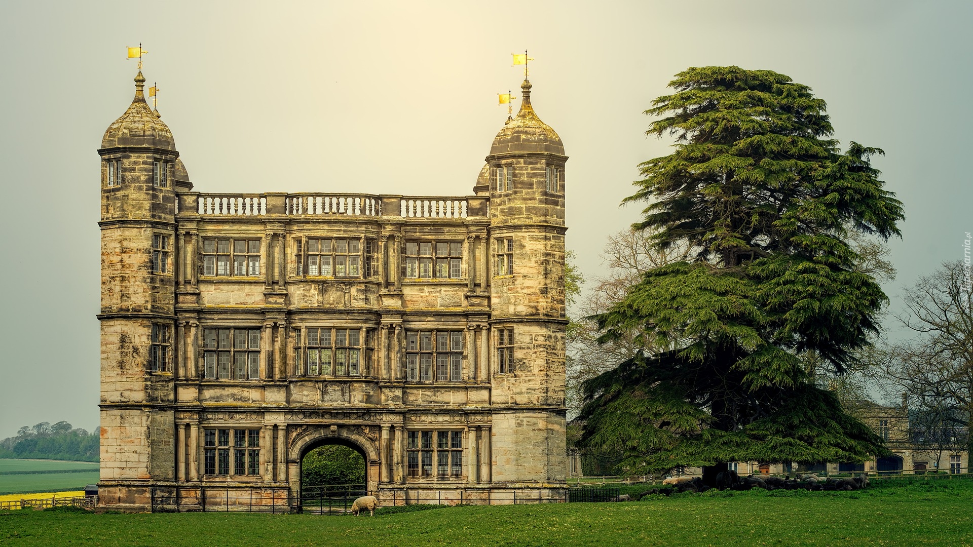 Budynek, Tixall Gatehouse, Brama, Drzewo, Tixall, Wieś, Tixall, Hrabstwo Staffordshire, Anglia