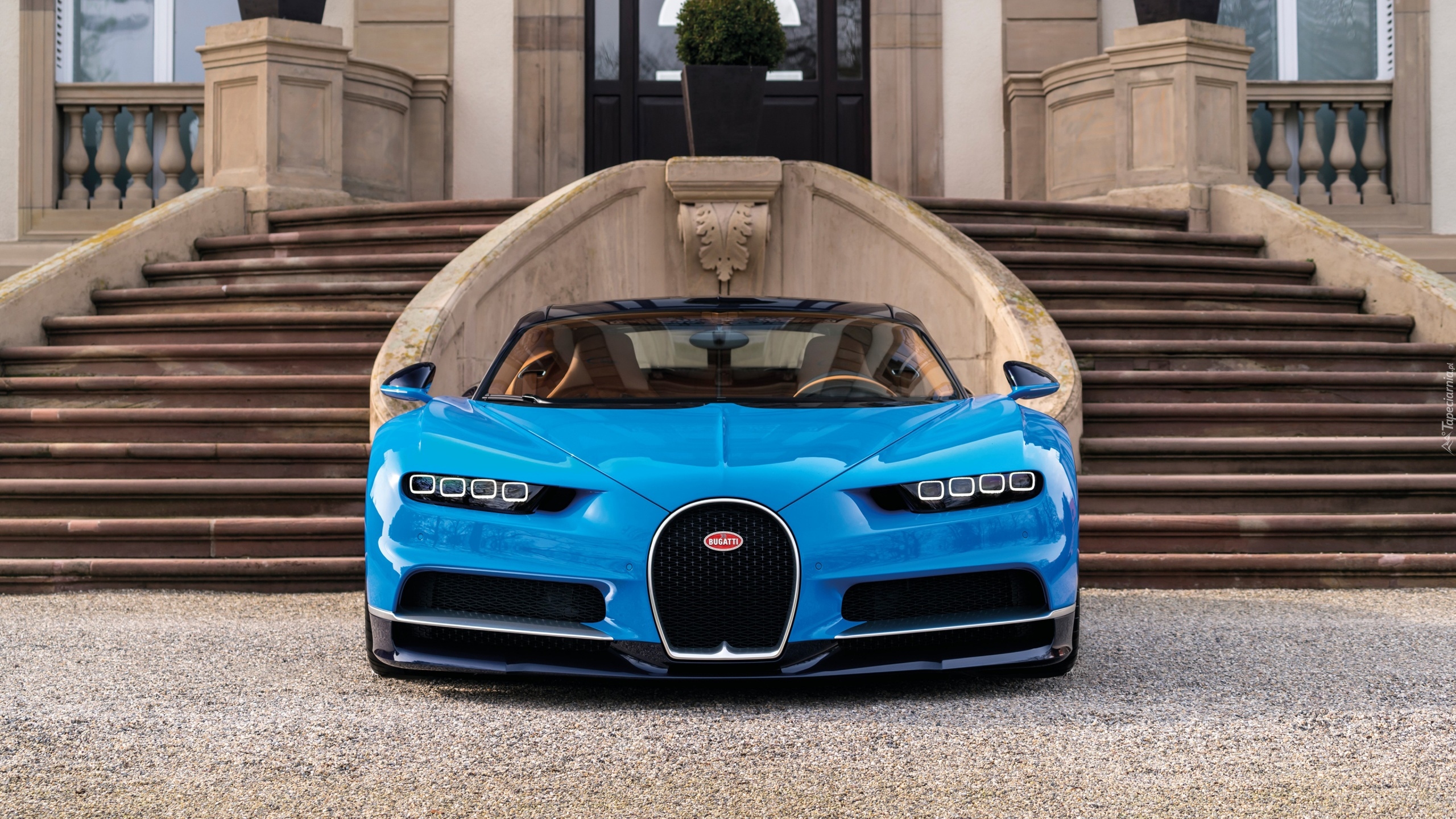 Niebieski, Bugatti Chiron, 2016