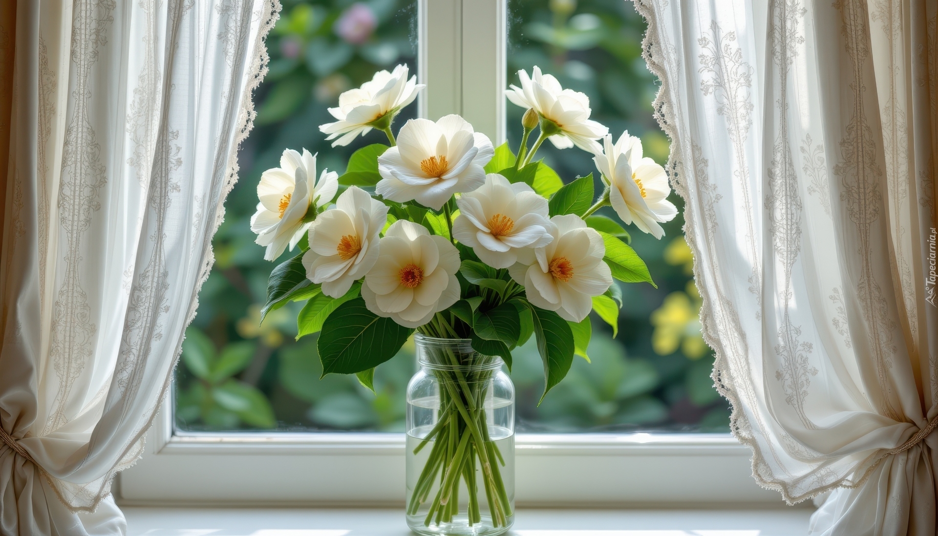 Bukiet, Białe, Kwiaty, Wazon, Okno, Firanki