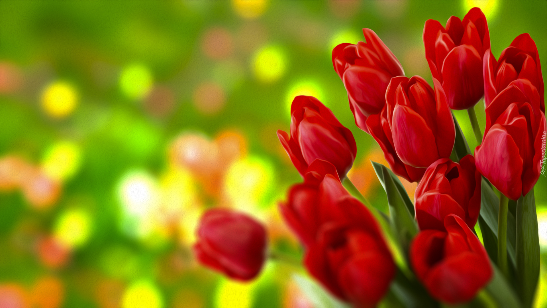 Kwiaty, Tulipany, Czerwone, Grafika