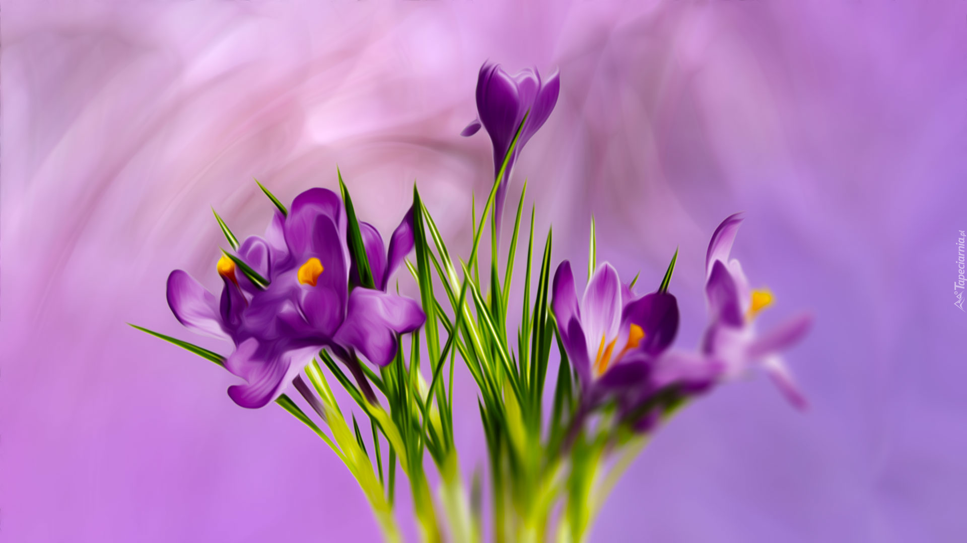 Крокус памяти мы вместе. Первоцветы (подснежники, крокусы, гиацинты).. Фрезия Крокус. Фрезия первоцвет. Крокус фиолетовый первоцвет.