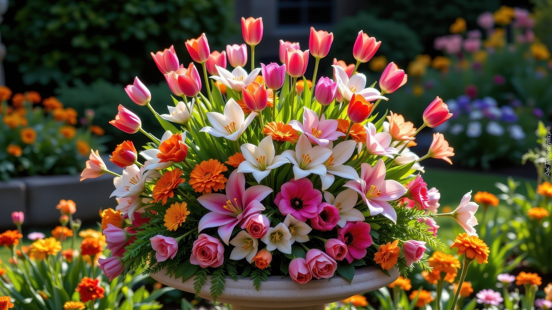 Kolorowe, Kwiaty, Tulipany, Lilie