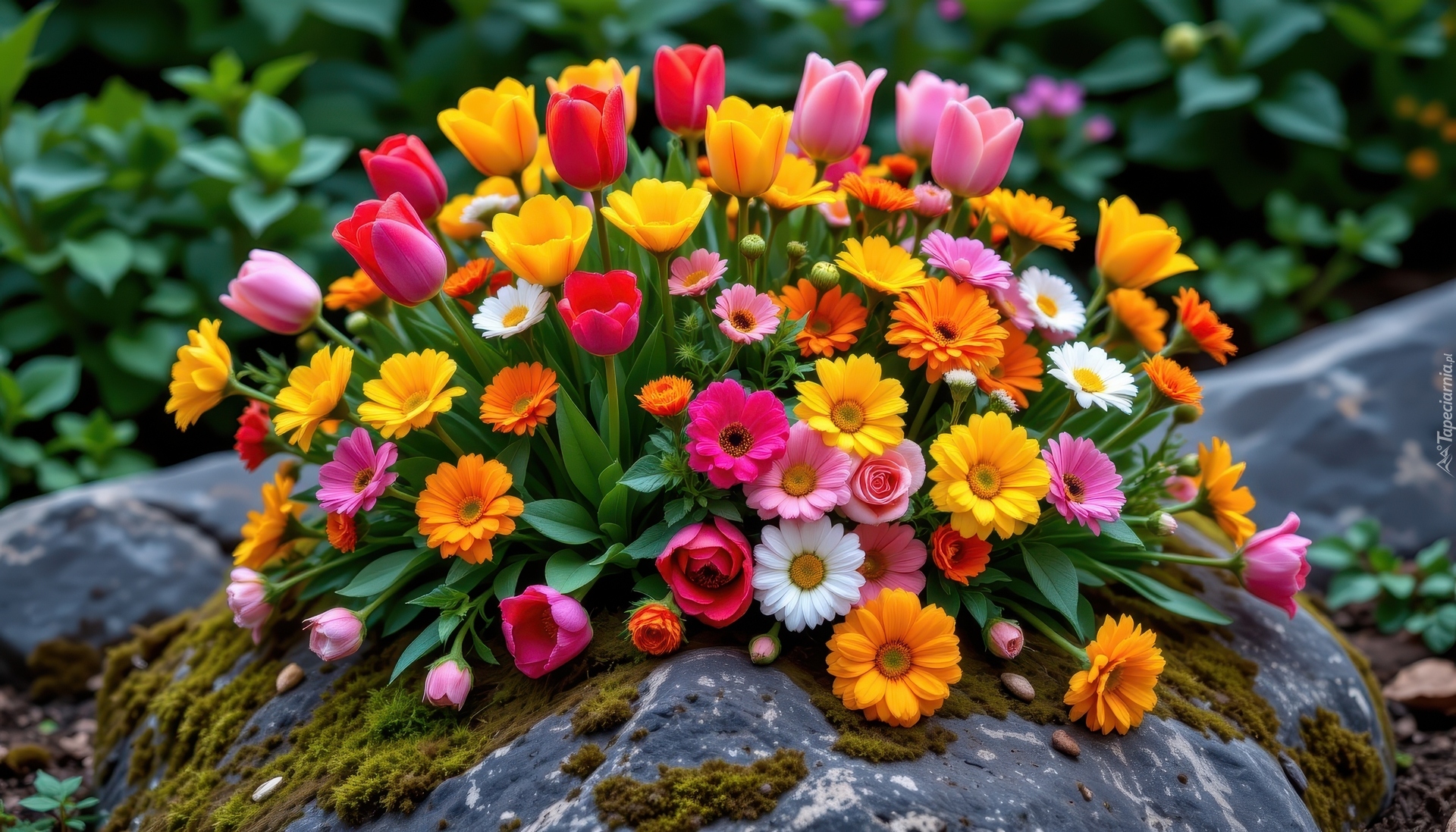 Kwiaty, Kolorowe, Kamień, Bukiet kwiatów