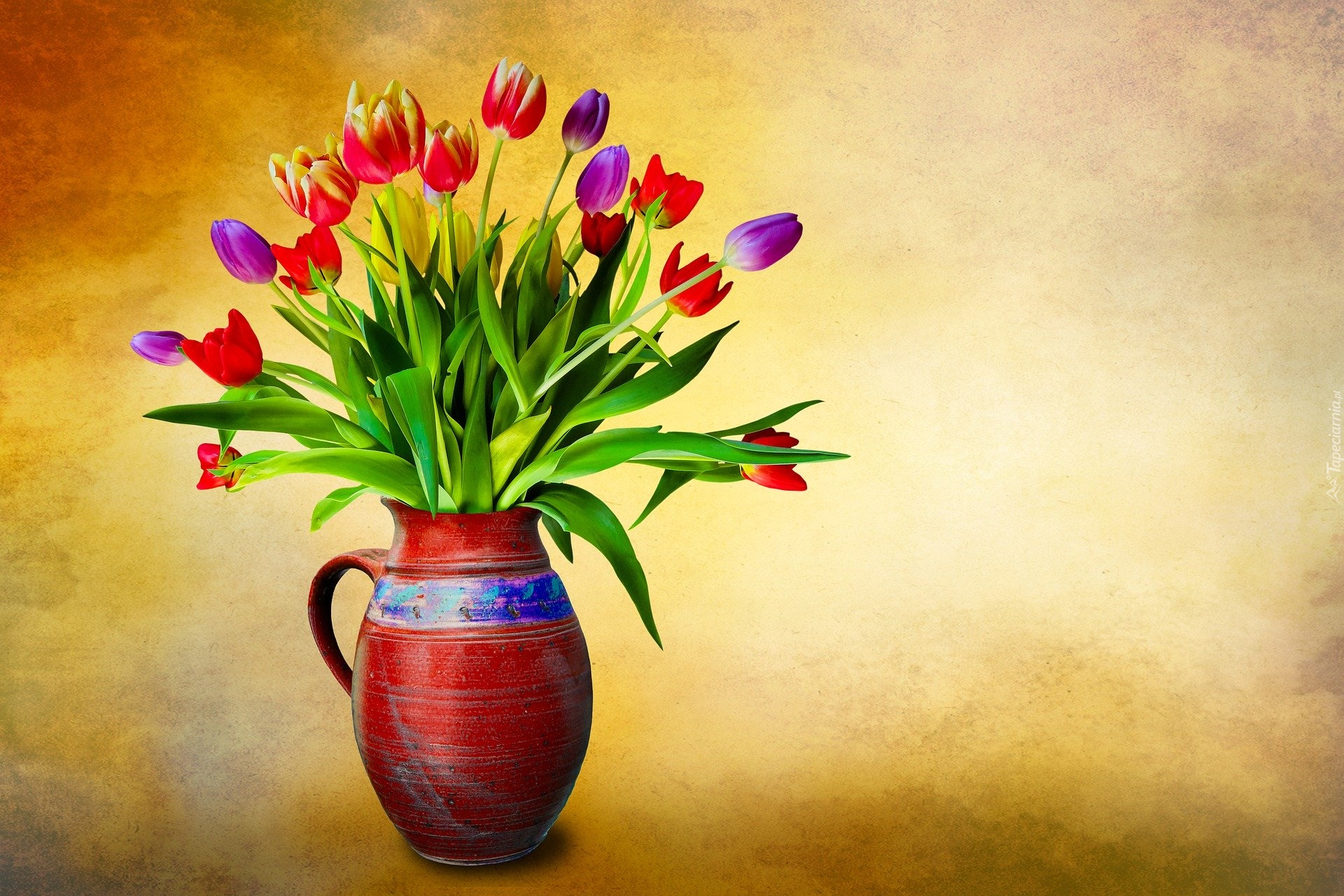 Kwiaty, Kolorowe, Tulipany, Dzbanek