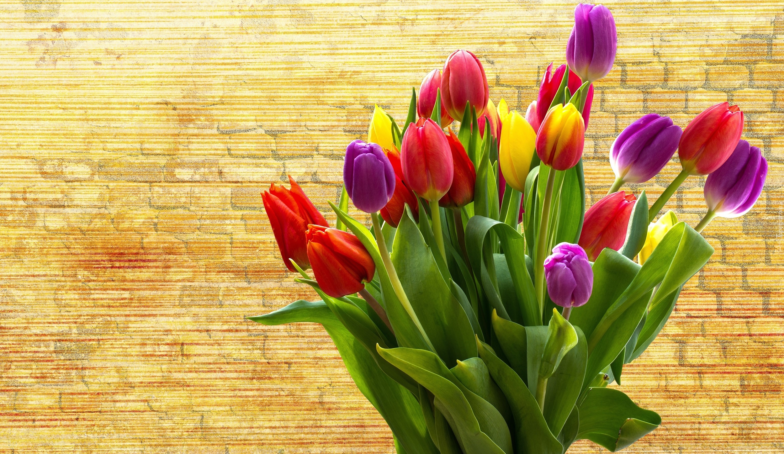 Kwiaty, Nierozwinięte, Kolorowe, Tulipany, Bukiet
