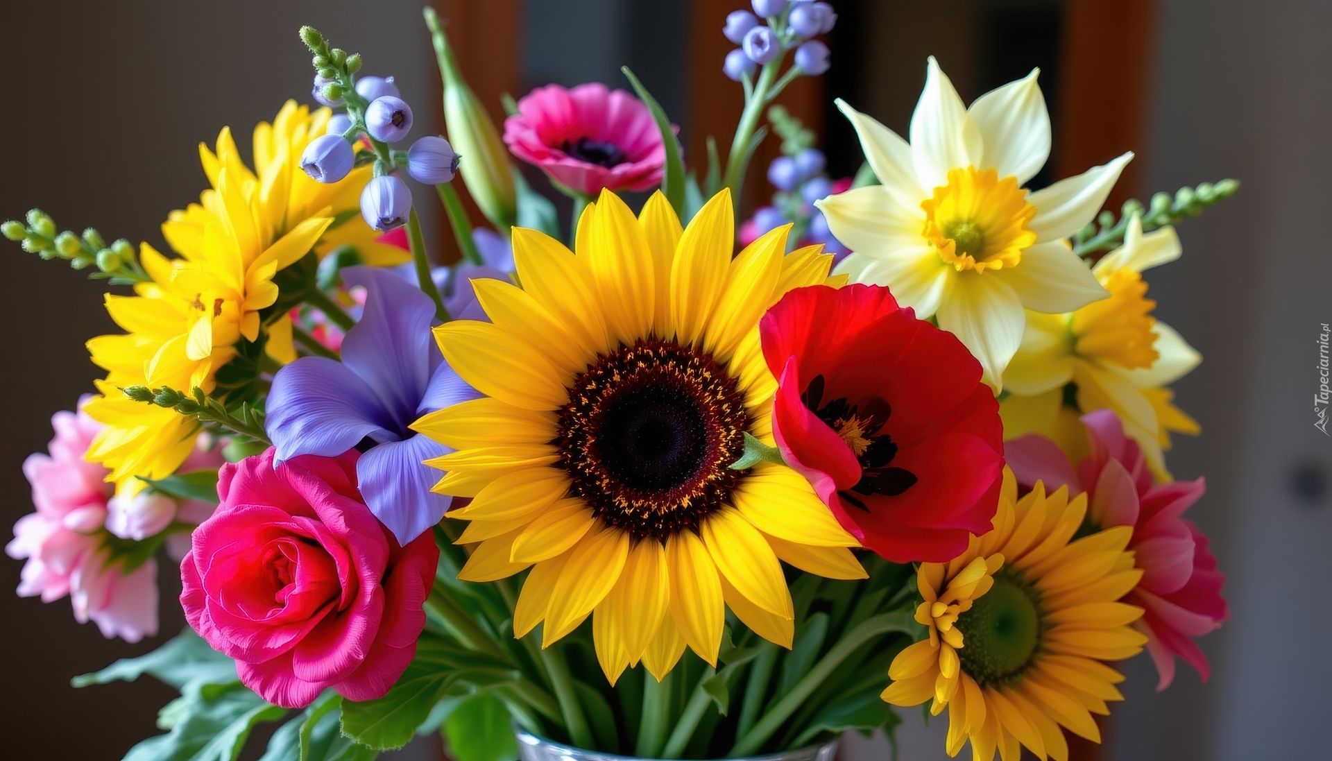 Kolorowe, Kwiaty, Słoneczniki, Róża, Narcyzy, Bukiet
