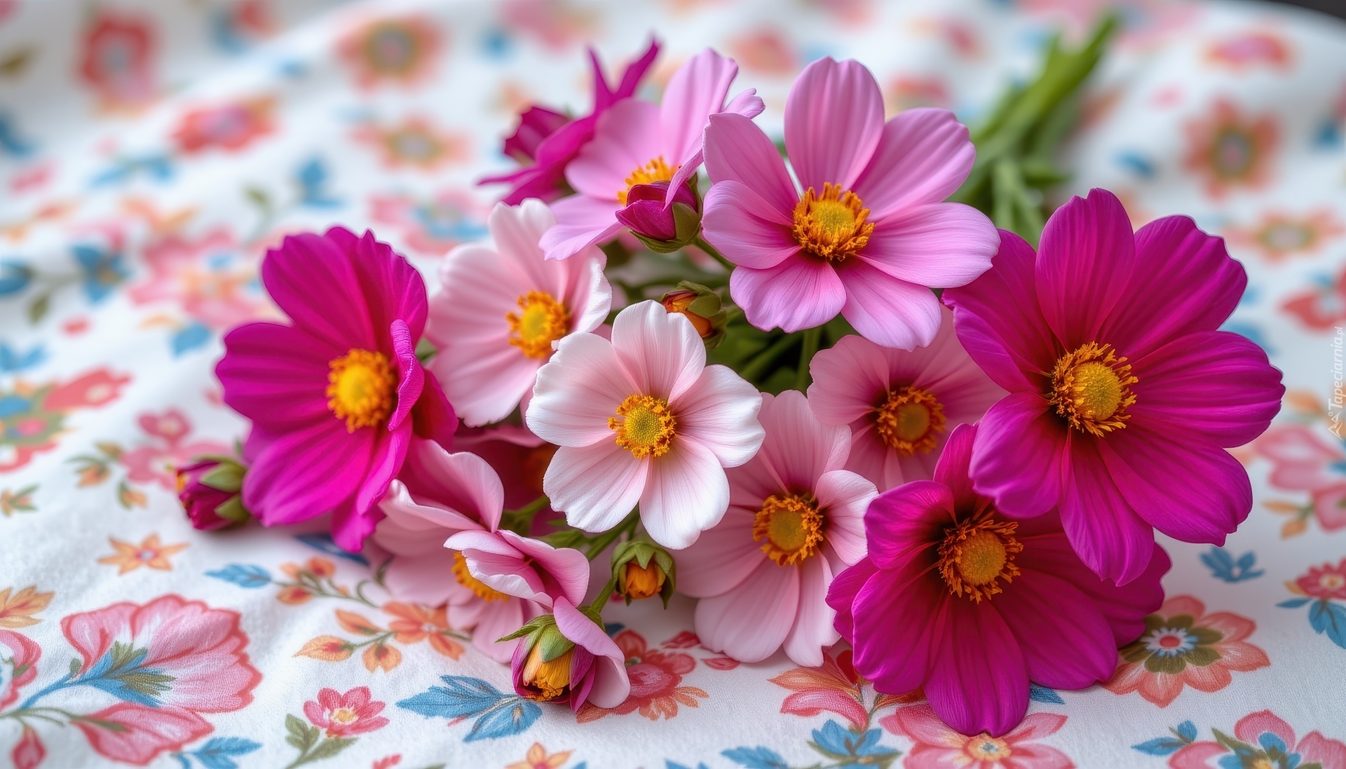 Różowe, Kwiaty, Materiał