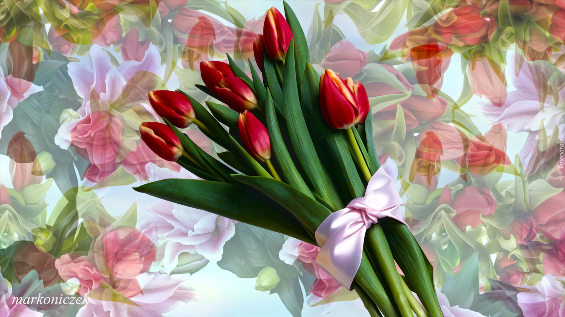 Kwiaty, Tulipany, Bukiet, Kokarda, Grafika