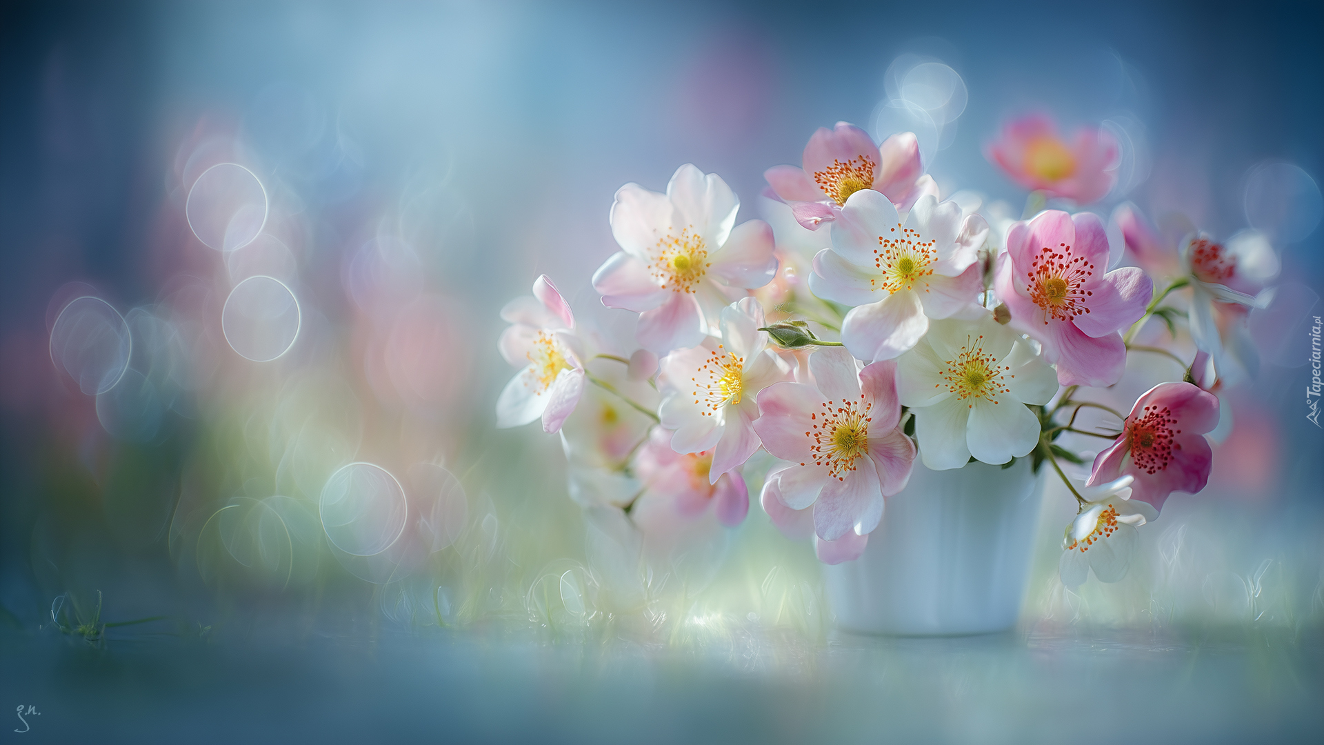 Dzikie róże, Bukiet, Bokeh, Grafika AI