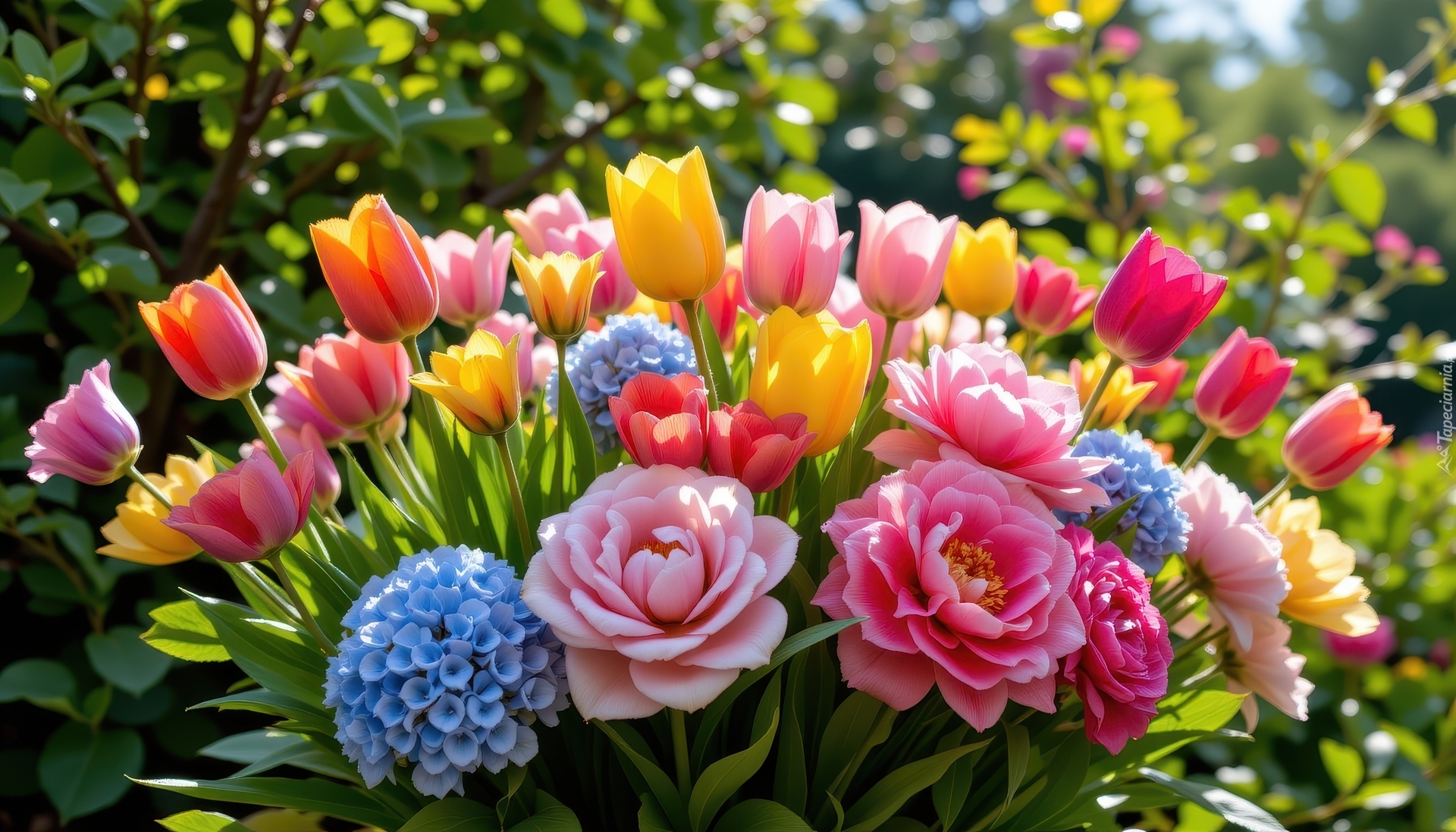 Bukiet, Kolorowe, Kwiaty, Tulipany, Hortensje, Piwonie