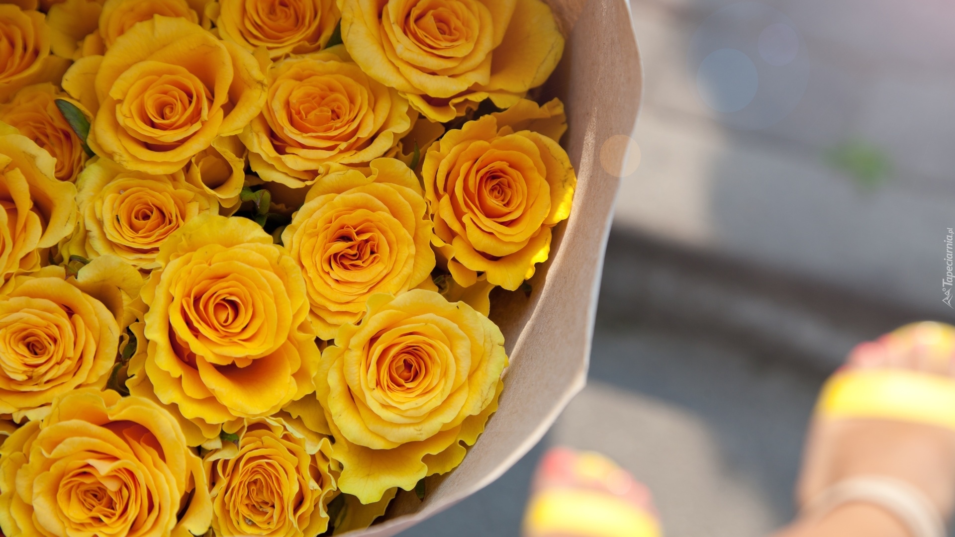 Żółte, Rozkwitnięte, Róże