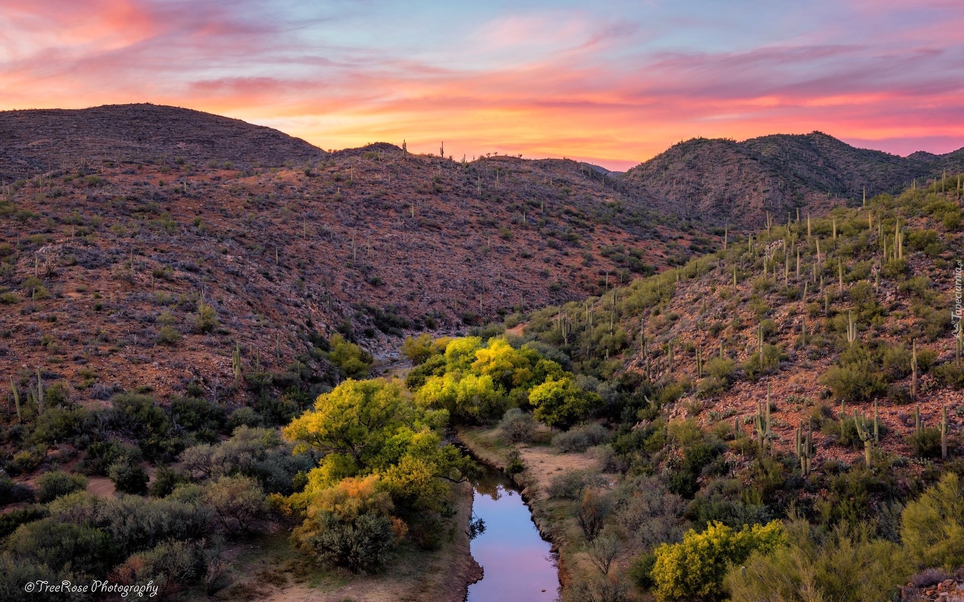 Stany Zjednoczone, Arizona, Góry, Rzeka, Bumble Bee Creek, Zachód słońca, Drzewa