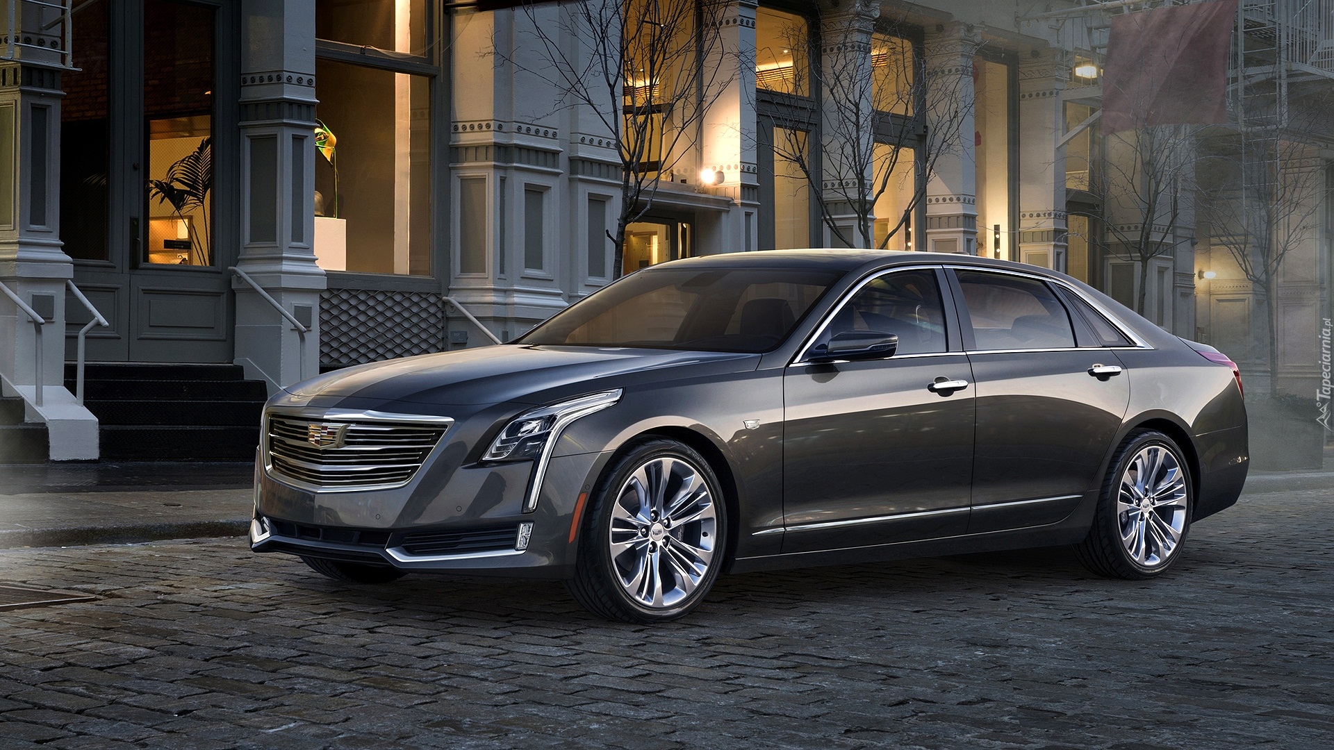 Cadillac CT6, Domy