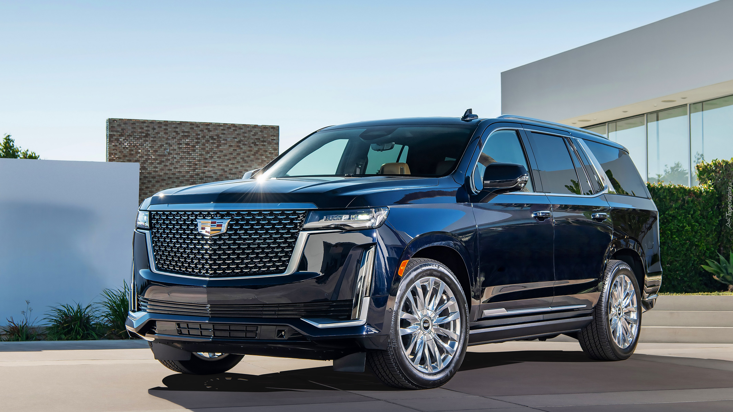 Czarny, Cadillac Escalade, 2021