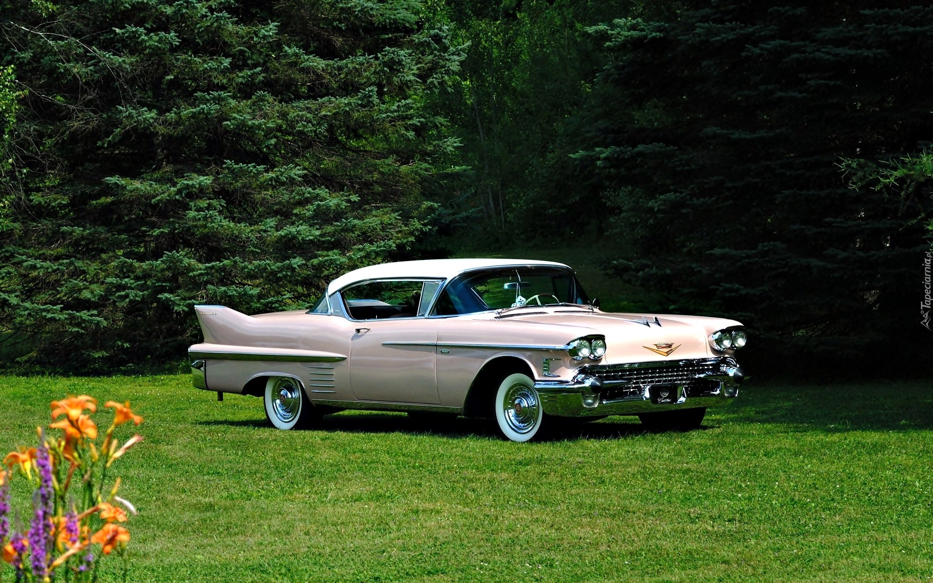 Zabytkowy, Cadillac Series 62 Coupe De Ville, 1958