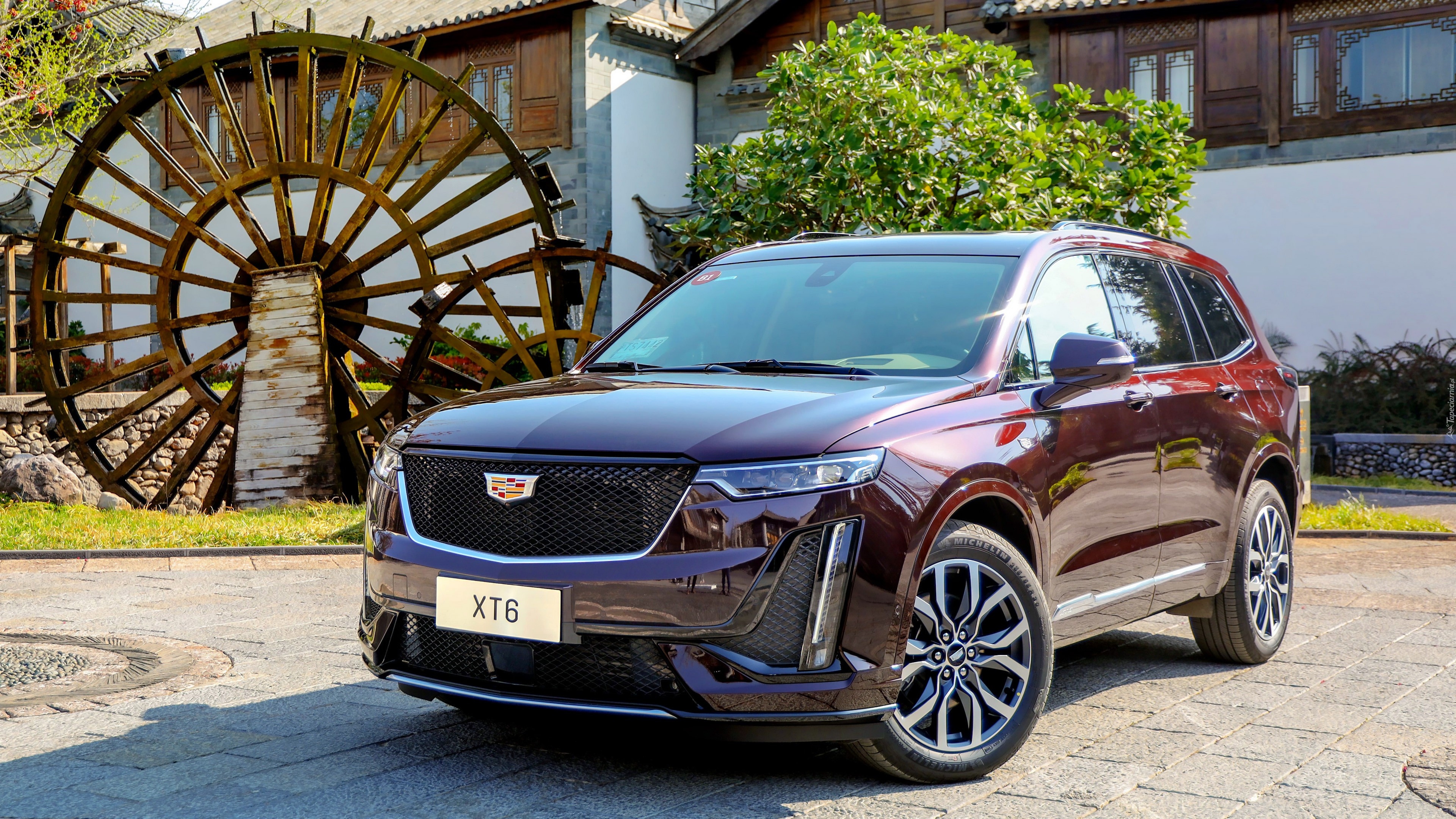 Cadillac XT6, SUV, Wiśniowy