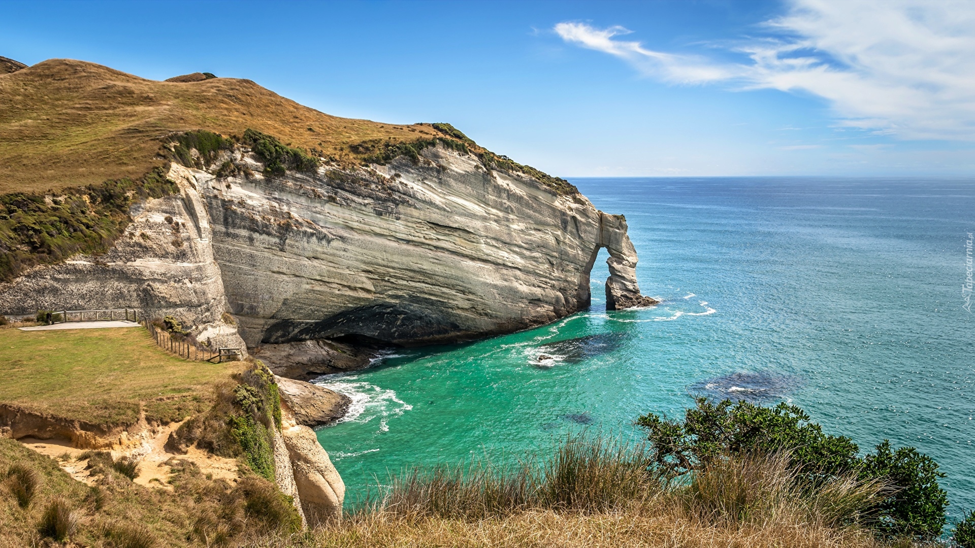 Wybrzeże, Klif, Cypel, Cape Farewell Arch, Skały, Rośliny, Morze, Nowa Zelandia