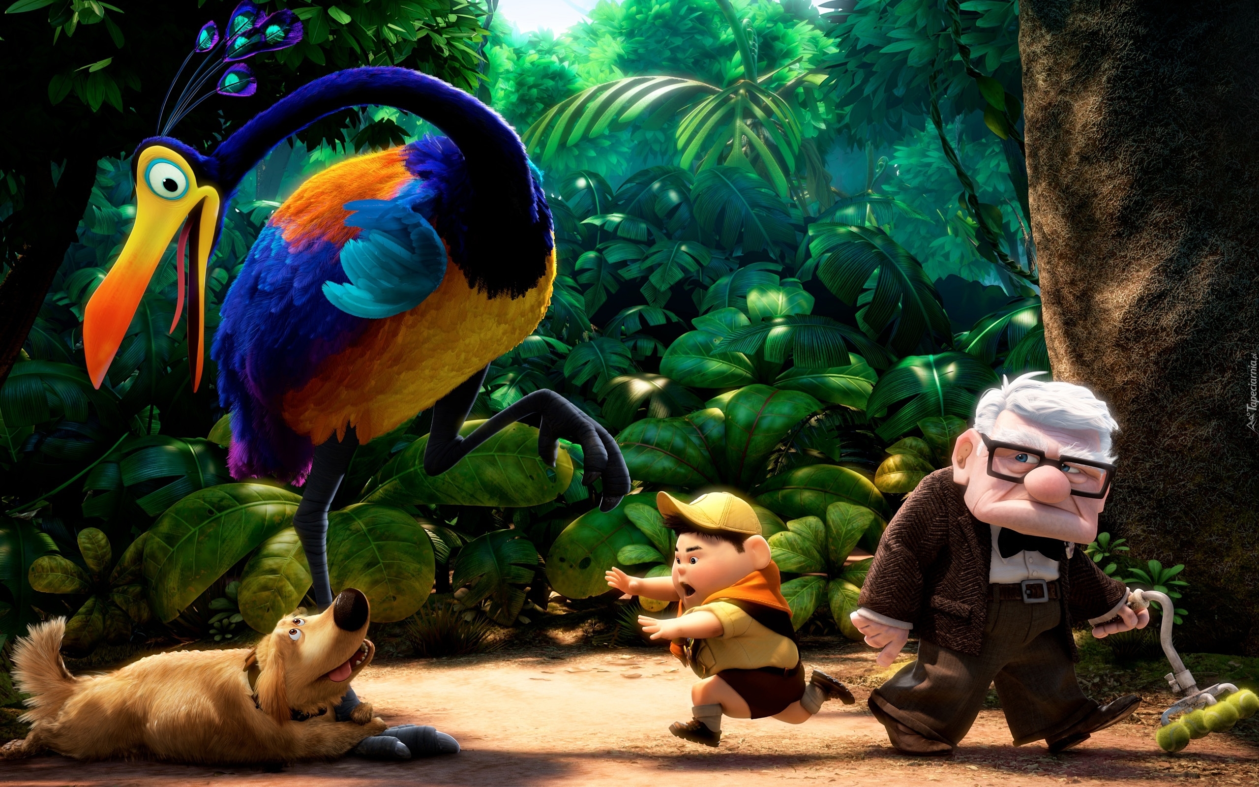 Film animowany, Up, Odlot, Dziadek Carl Fredricksen, Skaut Russell, Ptak Stefan